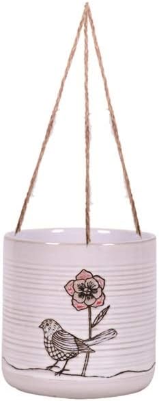Hanging Amarosa 5" Flower Pot, Multi Color