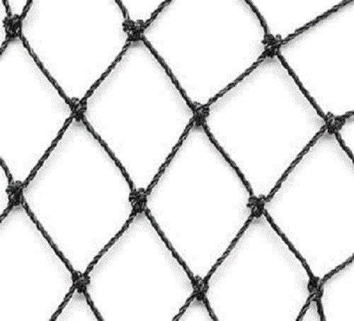 Aviary Netting Heavy Knotted 2 inch Poultry Net (25 ft x 100 ft)