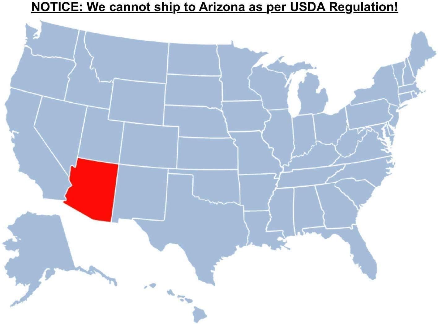 Brighter Blooms - Thuja Green Giant, 5-6 Feet - Live Plant - No Shipping to AK, AZ, HI, OR