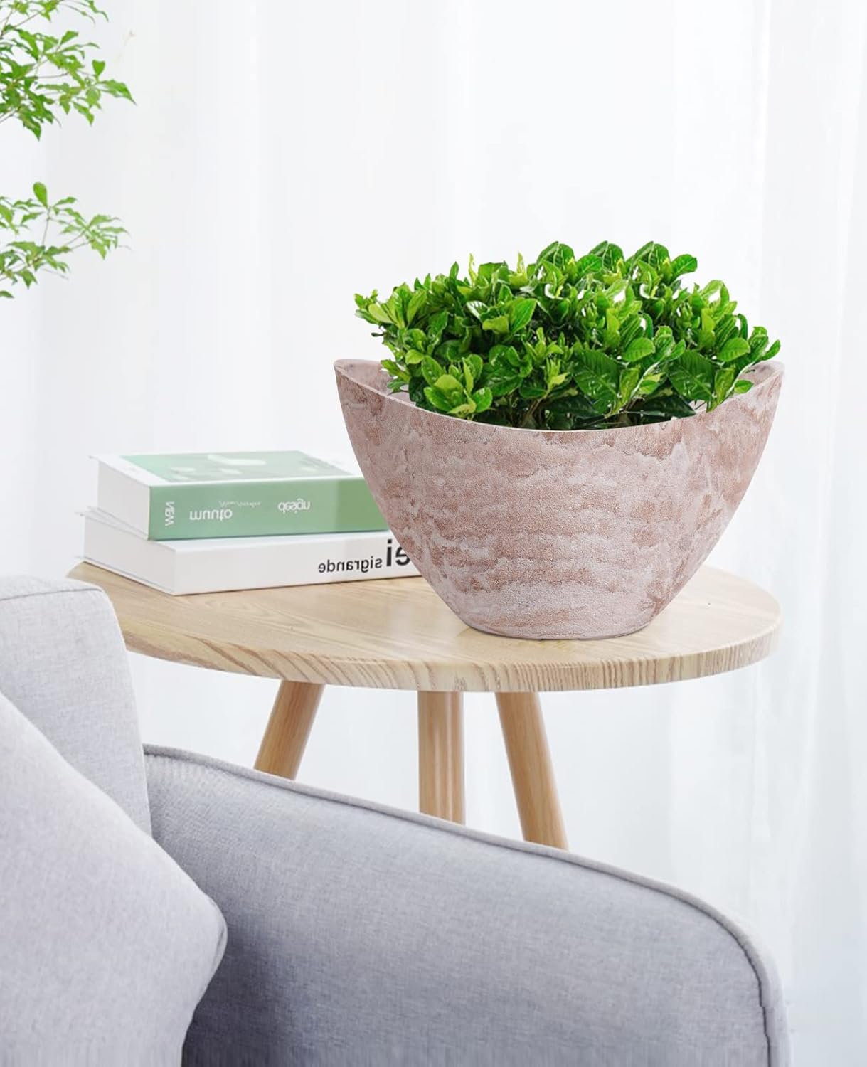 LaDoVita Plant Pots with Drainage Holes, 12 Inch Large Oval Planters for Indoor Plants, Plastic Flower Pots Outdoor, Set of 2 Pack, Brown