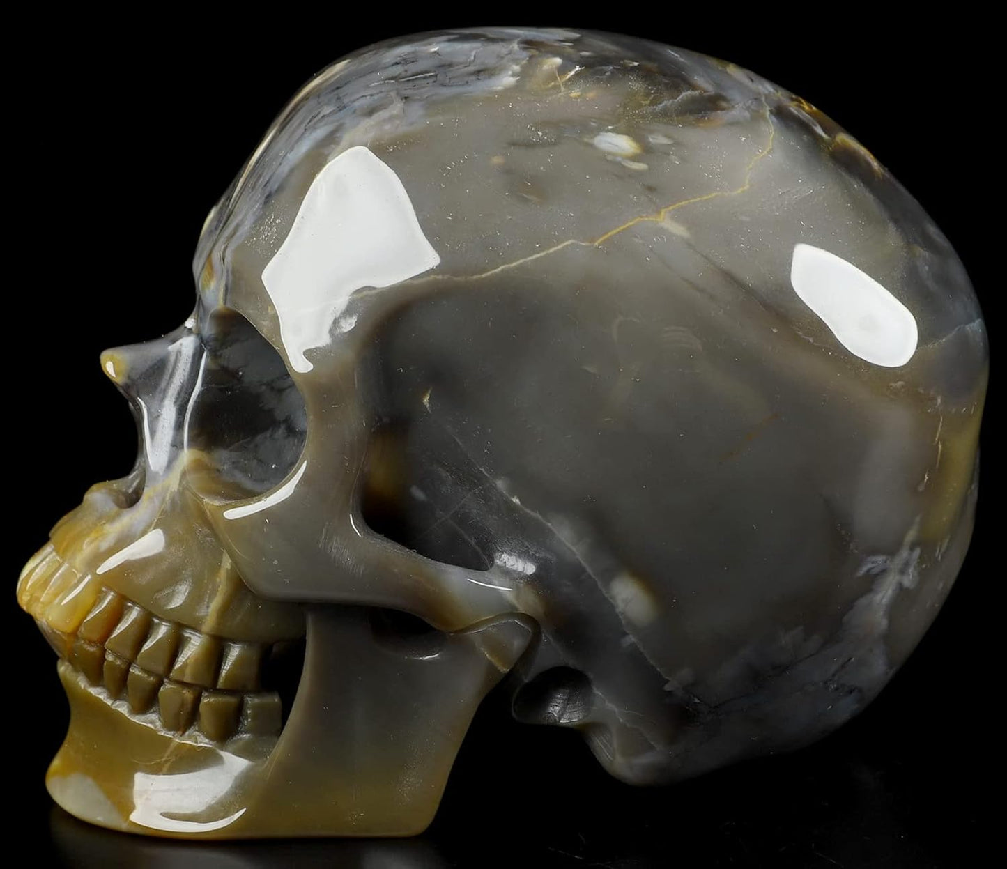 Skullis 5.0" African Petrified Wood Super Realistic Crystal Carved Crystal Skull. Hand Carved Gemstone Fine Art Sculpture.2261 Z8