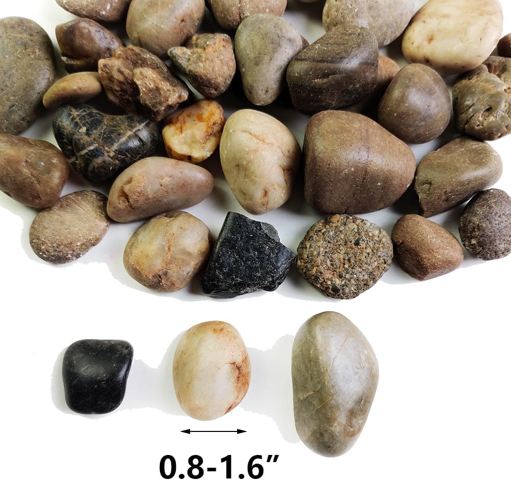 HappyFiller Decorative Natural Pebbles Polished Rocks Stones Mixed Color for Aquarium Gravel,Fish Turtle Tank,Outdoor Indoor Plants Top Dressing,Garden Landscaping,Home Vase Filler Decoration,2 LB