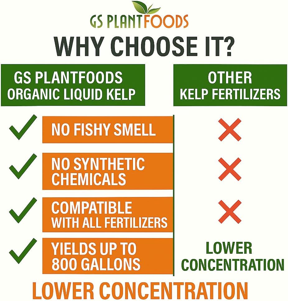 Organic Kelp Fertilizer by GS Plant Foods - Omri Listed(1 Gallon) - Liquid Kelp Concentrate for Gardens, Lawns & Soil Yields 800+ gallons