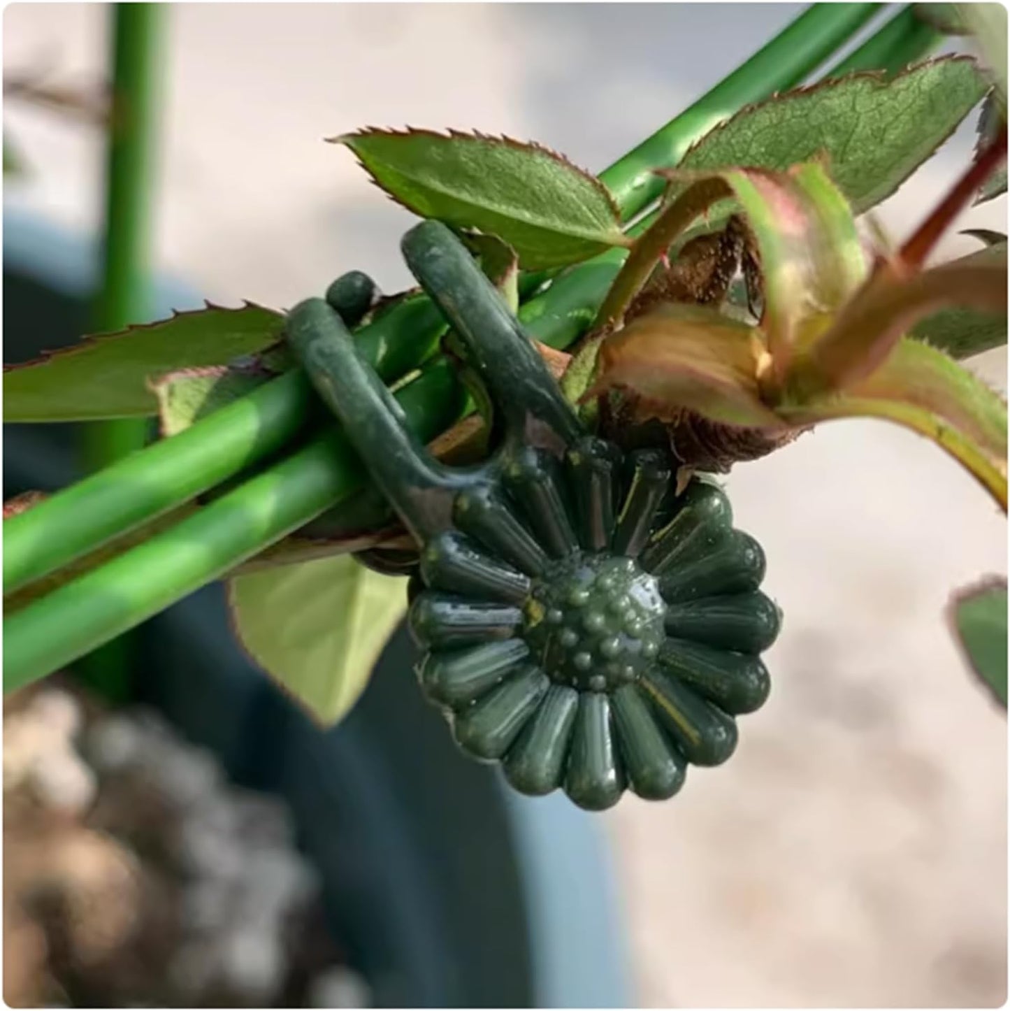 100Pcs Small - Middle Plant Clip,Daisy Garden Flower Plant Clip,for Orchids Vine Clip Support Stem Vine Upright Growth (Green)