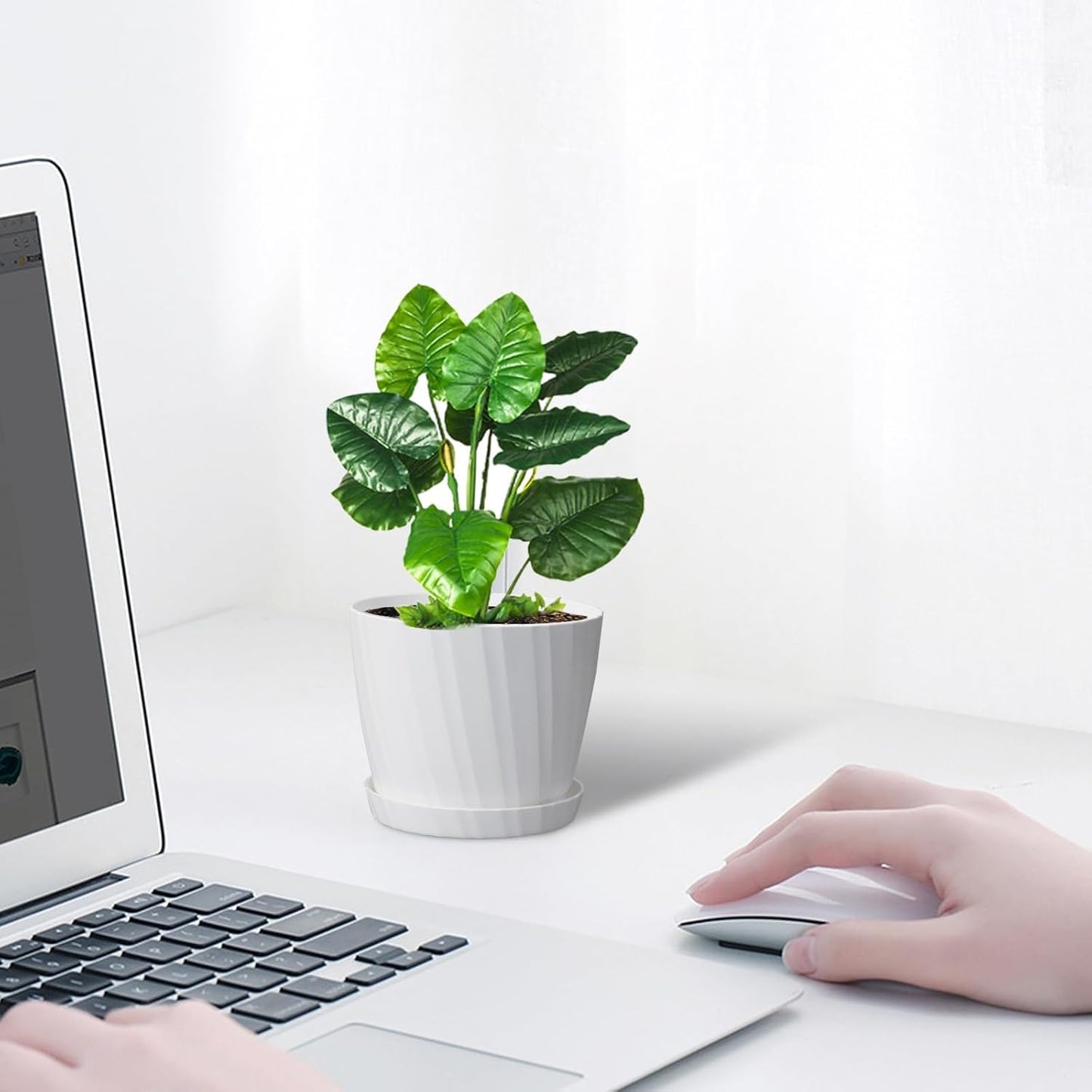 6 Inch Plant Pots Bulk, 6 Pack Plastic Planters with Drainage Holes and Saucers for Indoor Outdoor House Plants and Flowers, White