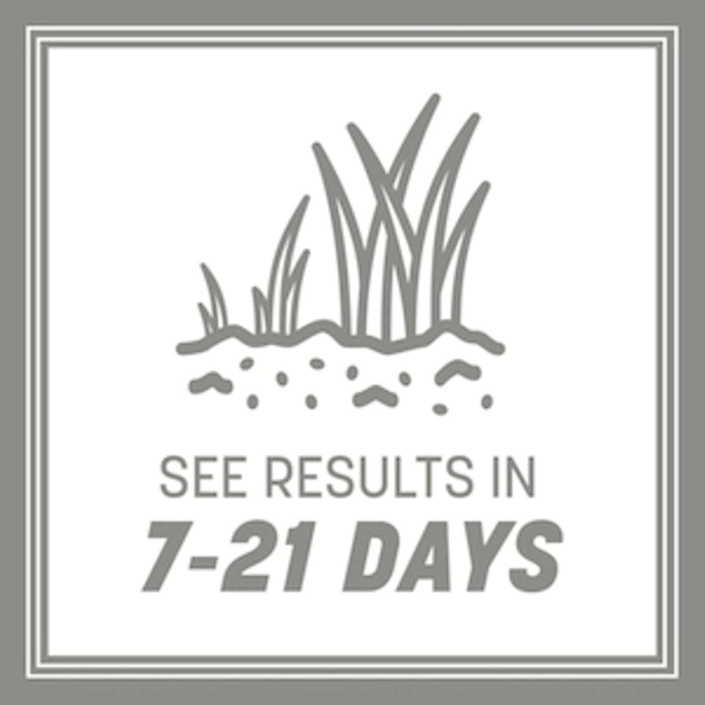 Pennington Contractors Grass Seed Mix Central 20 lb