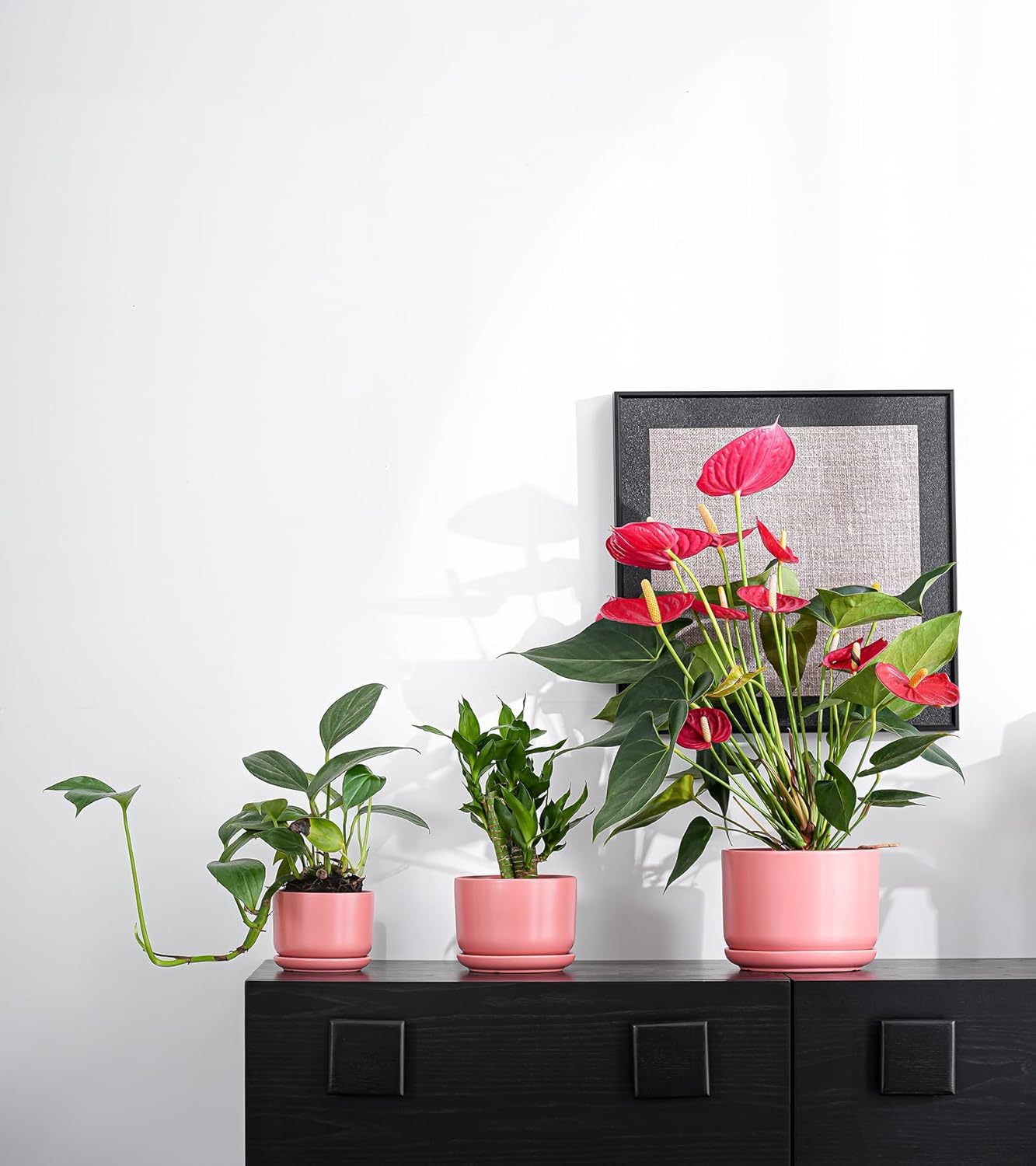 Ton Sin Plant Pots, 4.1+5.1+6.5 inch, Set of 3, Ceramic Planters with Drainage Hole and Saucer, Indoor Flower Pot with Hole Mesh Pad, Gifts for Mom(Matte Orange)