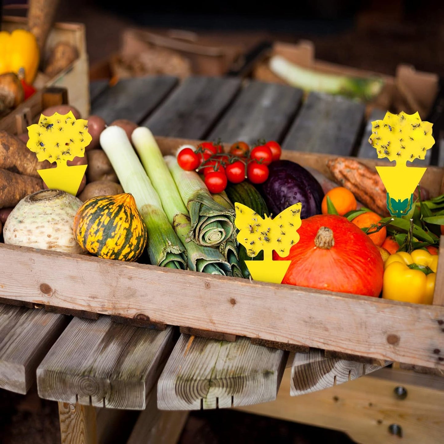 120 Pack Fruit Fly Trap for Indoors, Fungus Gnat Killer Indoor Sticky Traps for Mosquito and Flying Insects, Bug Pest Insect Catcher Killer for Houseplant Non-Toxic