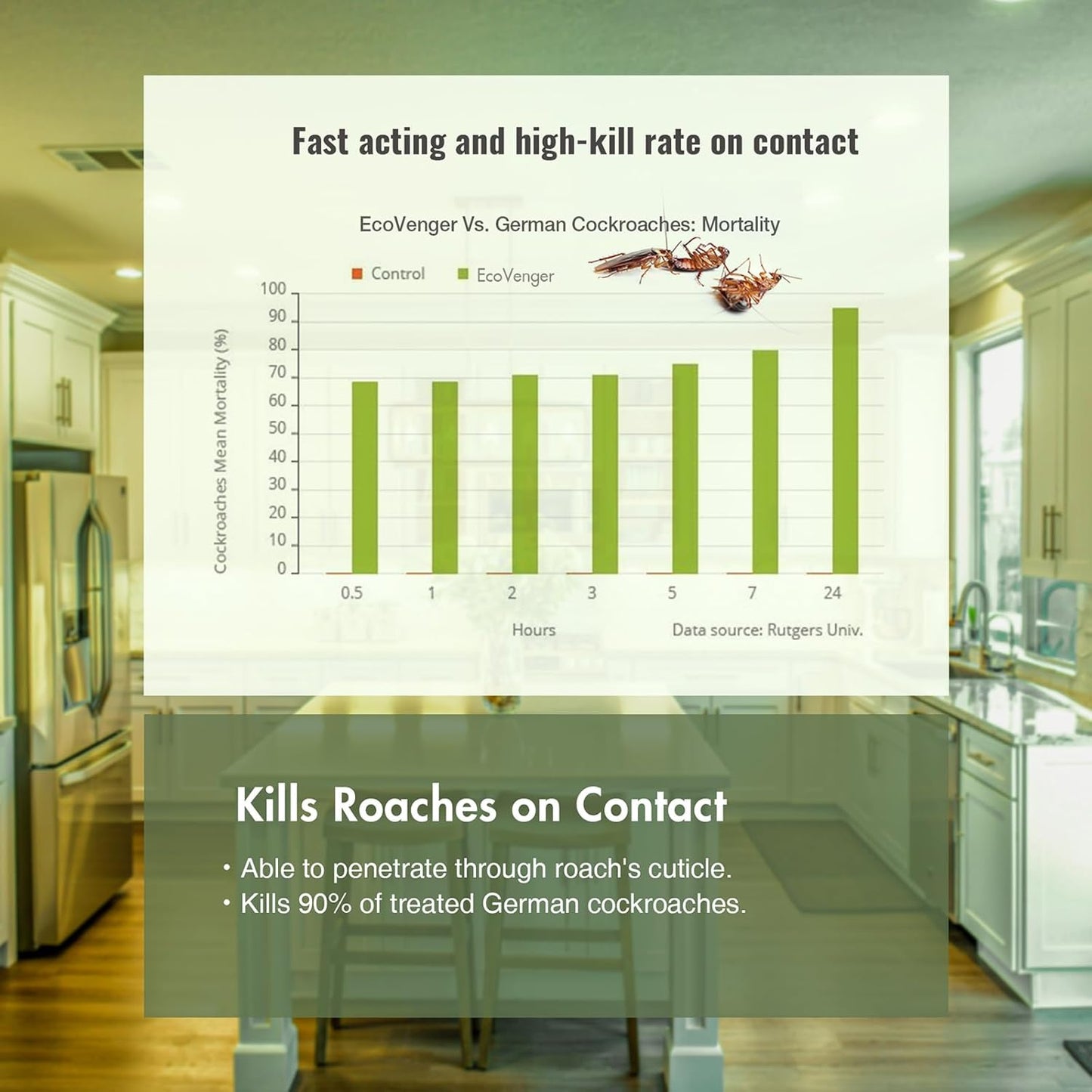 EcoVenger by EcoRaider Roach & Ant Killer 64 oz, Kills on Contact, Kills Ants & Other Indoor & Outdoor Crawling Insects, Natural & Non-Toxic, Pleasant Botanical Scent, Safe for Children & Pets