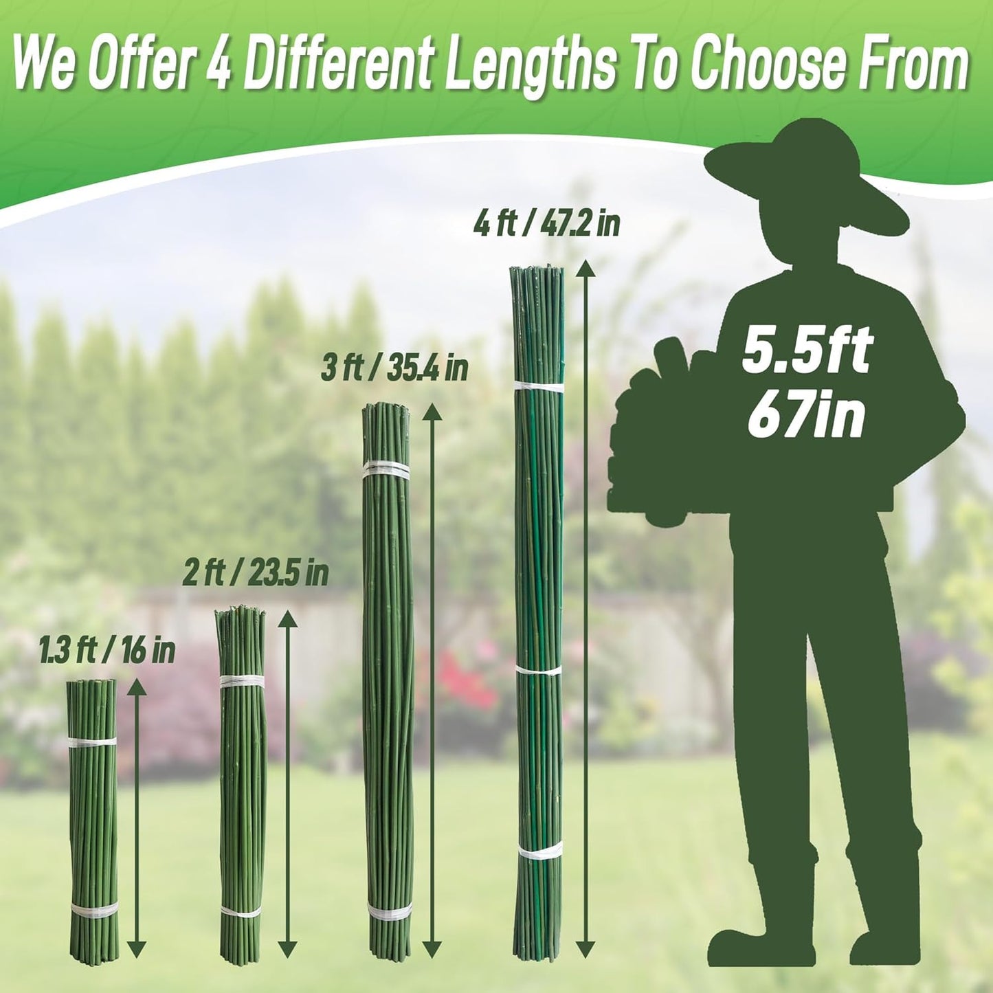 50Pcs 4ft Bamboo Sticks for Indoor Outdoor Plants, 0.29"-0.38" Natural Bamboo Poles, Durable Garden Stakes for Tomatoes, Beans, Flowers and Potted Plants