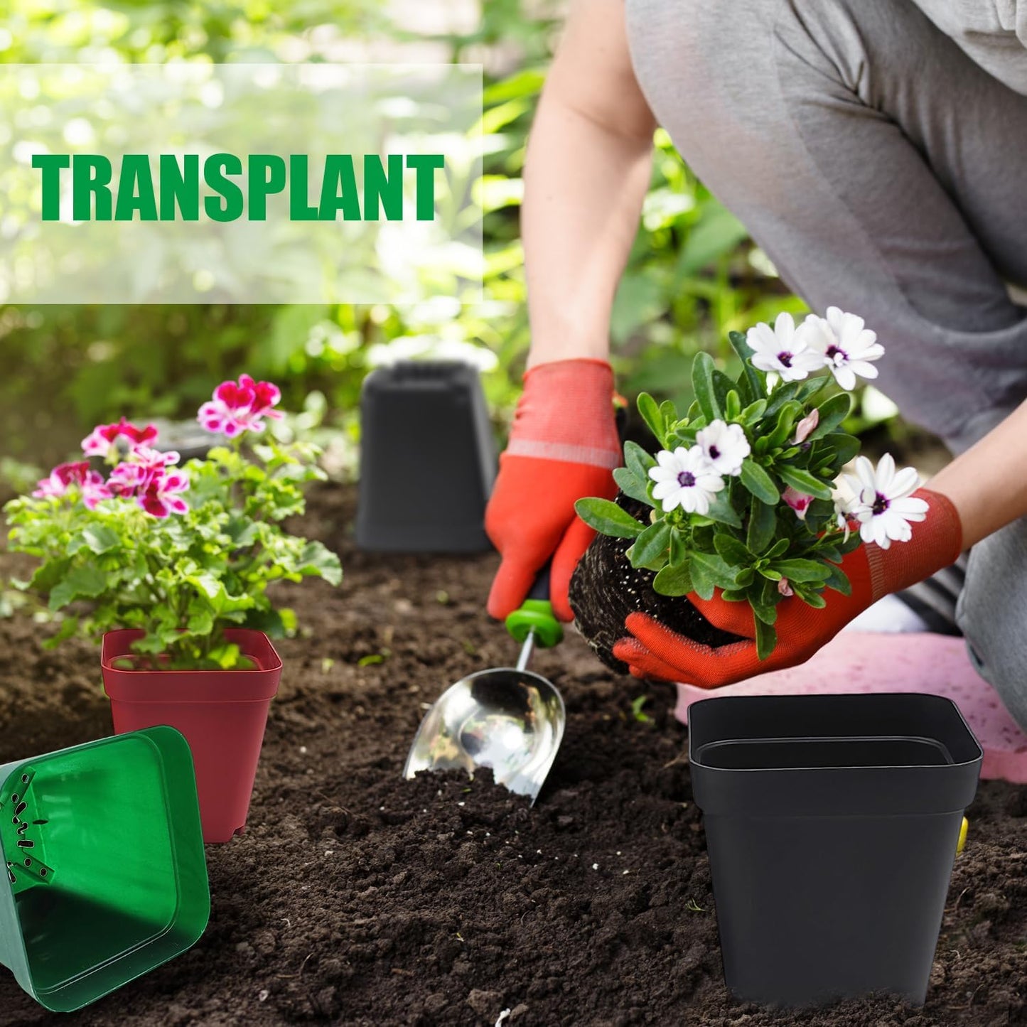 Square Plastic Nursery Pot 3" 120 Pcs Deep Succulent Pots Small Flower Planter Seeds Starter Pots with Drainage (Green,Black,Red 40pcs Each,2.7Inches)