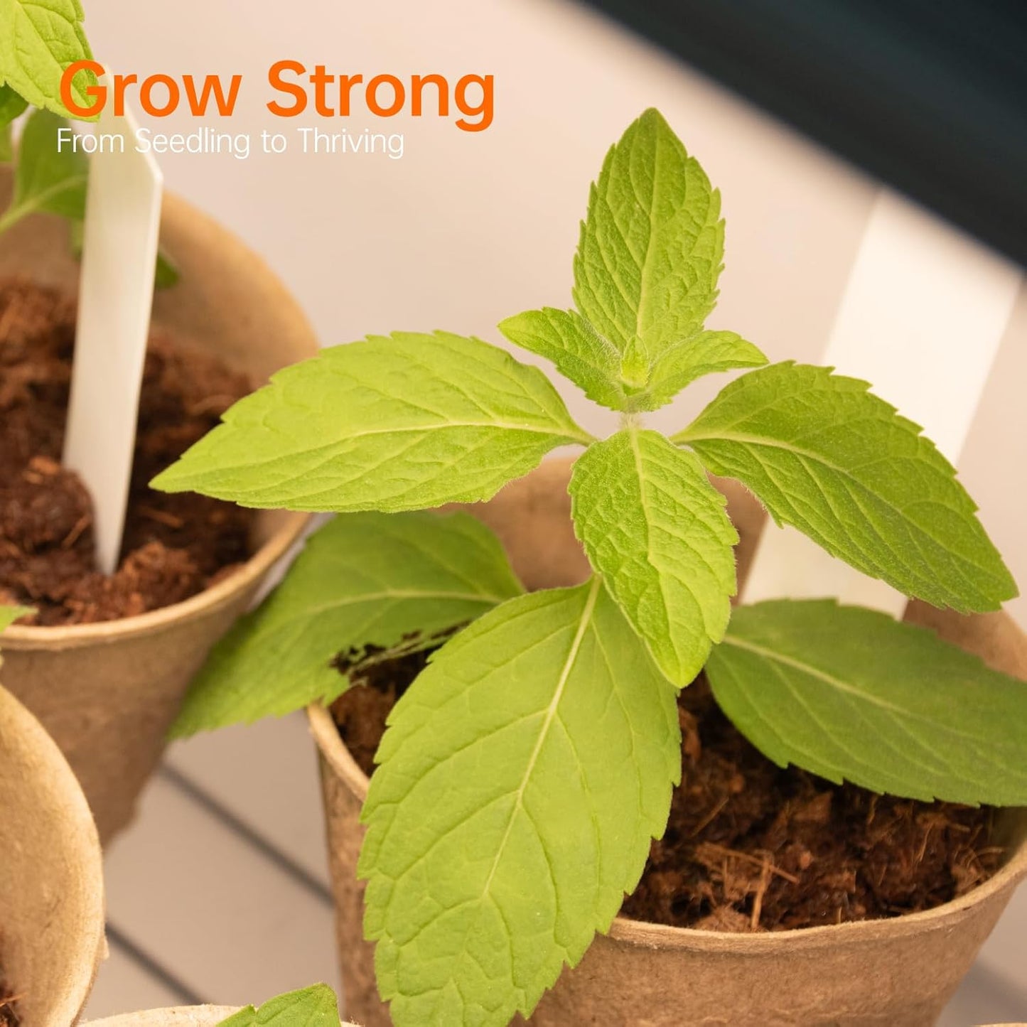 Plant Shelf with Grow Light with Timer, Metal Plant Stand with Adjustable Rack and Wheels, 4 Pack 24W Full Spectrum Grow Light Strip for Indoor Plants, Seed Starting, 35.4"x13.8"x59"