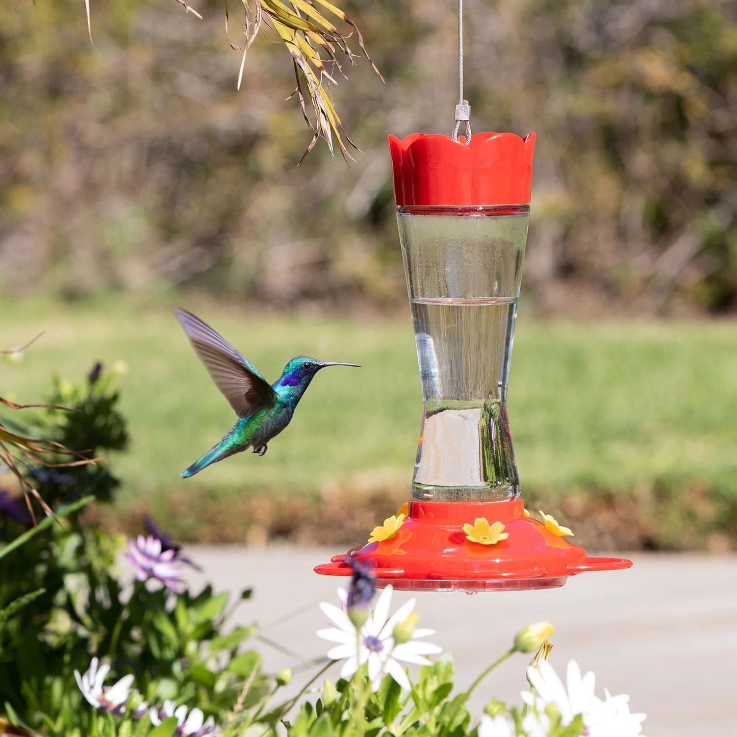 MEKKAPRO Two-Pack Hummingbird Feeders for Outdoors Hanging Made from Glass, 10oz, Hanging 5 Nectar Feeding Stations, Top Fill Hummingbird Feeder, Bright Red, Backyard Feeder (10 Ounce - 2 Pack)