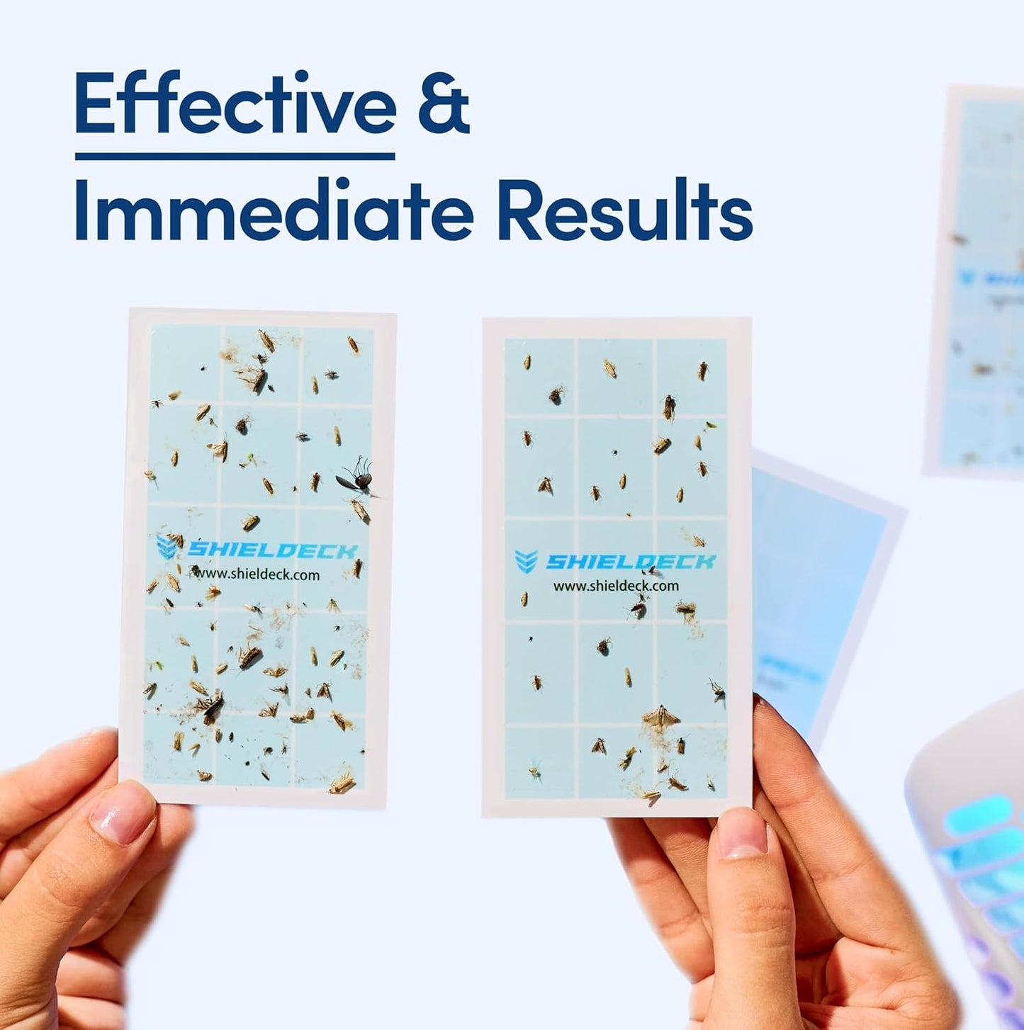 Fruit Fly Traps for Indoors (1 Device + 5 Refills) - Flying Insect Trap Plug in Bug Zapper Indoor, Gnat Trap and Mosquito Trap, Bug Catcher Traps with UV Light Fly Trap Indoor Bug Zapper