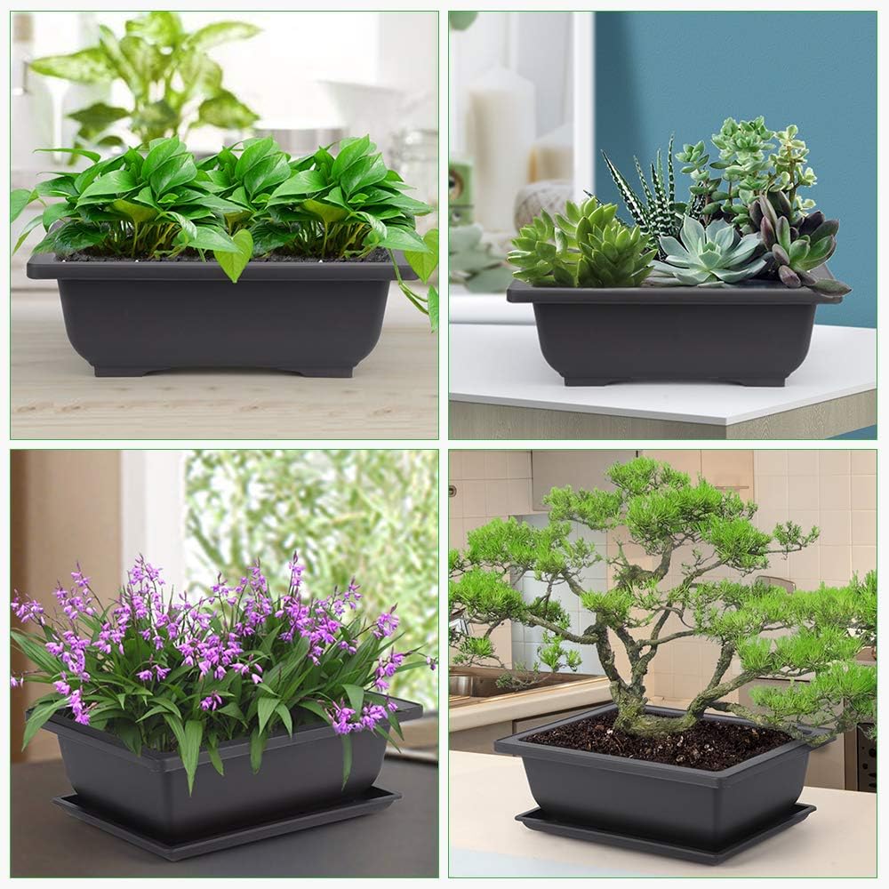 GROWNEER 6 Pack 9 Inch Bonsai Pots with Drainage Humidity Trays, Bonsai Tree Training Kits with 1 Repotting Mat, Rectangle Planter Plants Container Growing Pot for Garden Outside Indoor