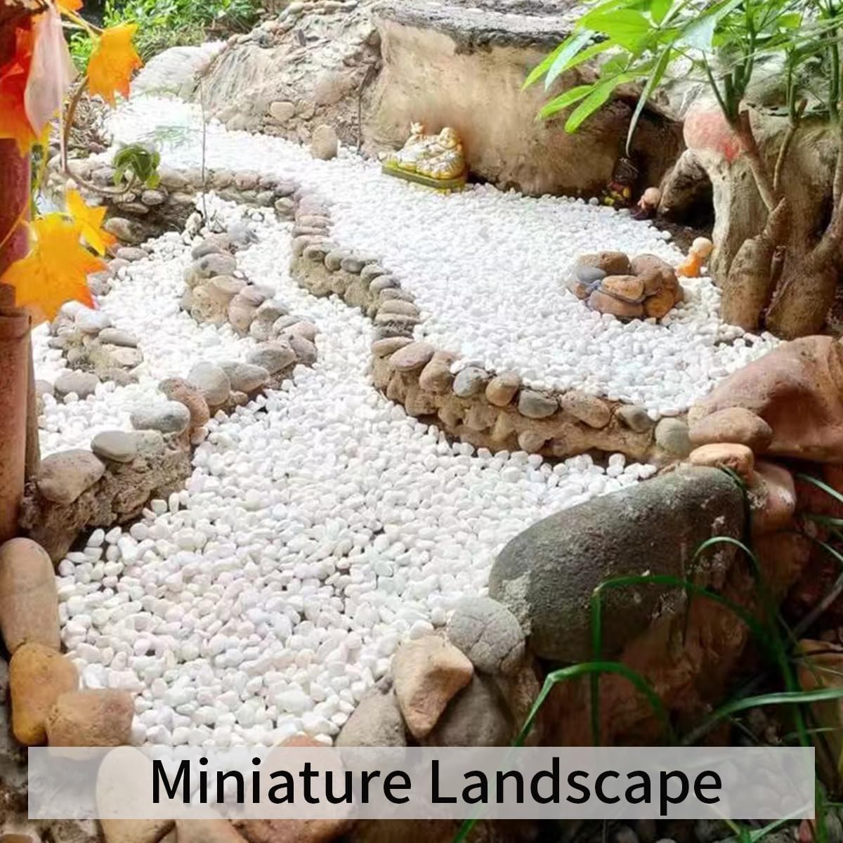 10LB Natural Succulent Gravel Decorative White Rocks - 3/8'' Small White Pebbles for Plants, Decorative Stones, Succulent Rocks Pebbles for Planter, Aquarium Pea Gravel for Landscaping