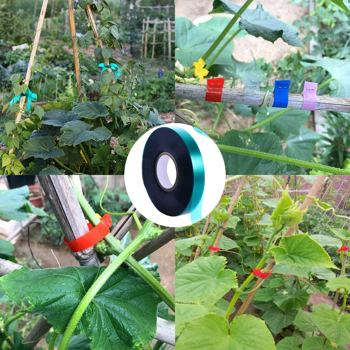 12 Rolls 150 Feet Stretch Tie Tape 0.5 Inch Garden Tie Tape Thick Plant Ribbon Garden Green Vinyl Stake for Indoor Outdoor Patio Plant Use