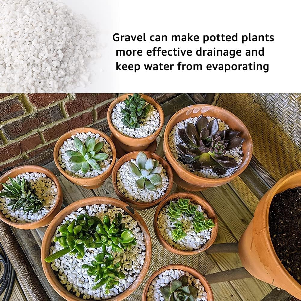 3lb White Cactus Pea Gravel Rocks,1/4 Inch Pebbles for Indoor Plants, Natural Succulent Rock and River Rocks Decorative for Aquariums, Vases, Outdoor Gardening, Top Dressing for Potted Plants