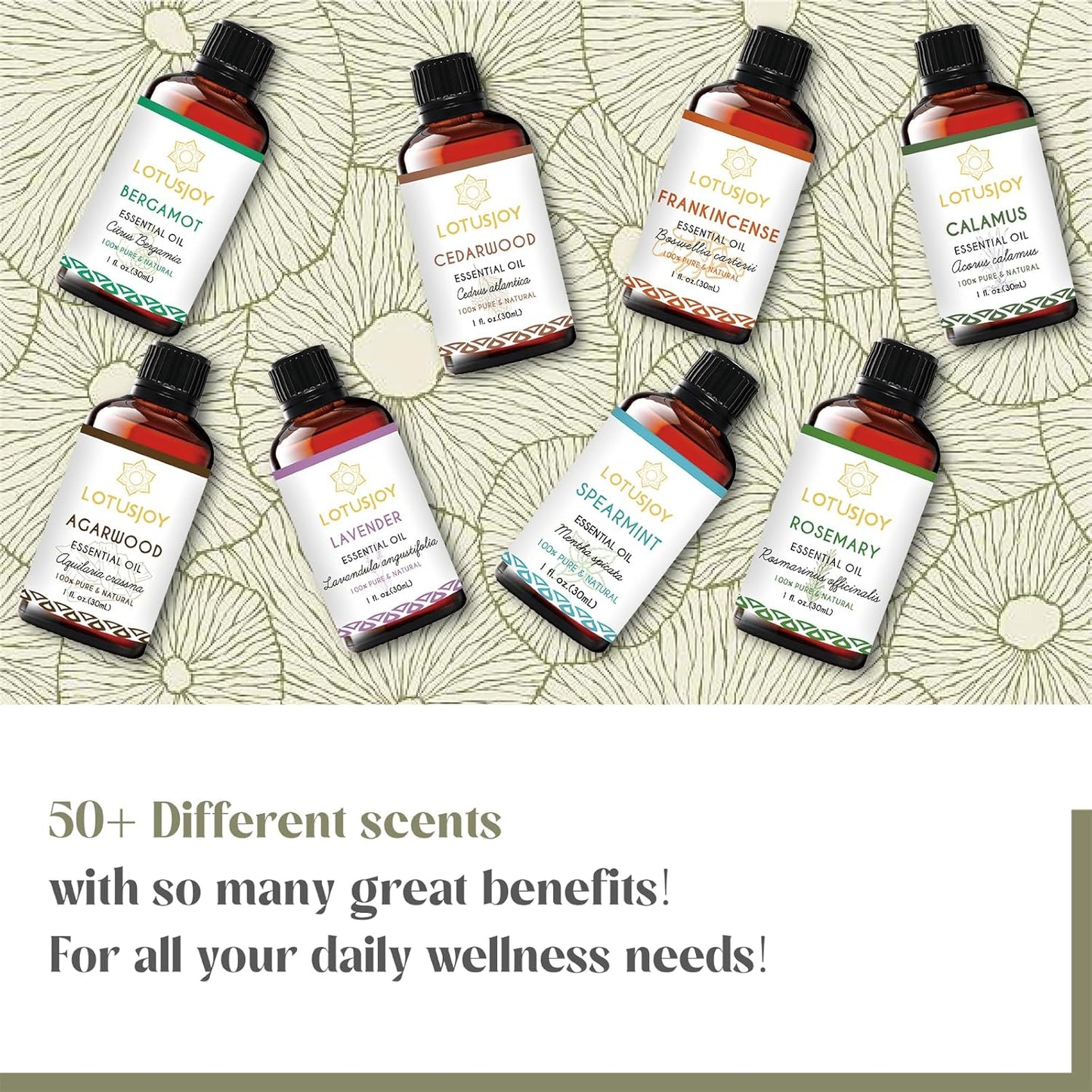 Fennel Essential Oil, 100% Pure Natural for Diffuser Skin DIY - 1 Oz