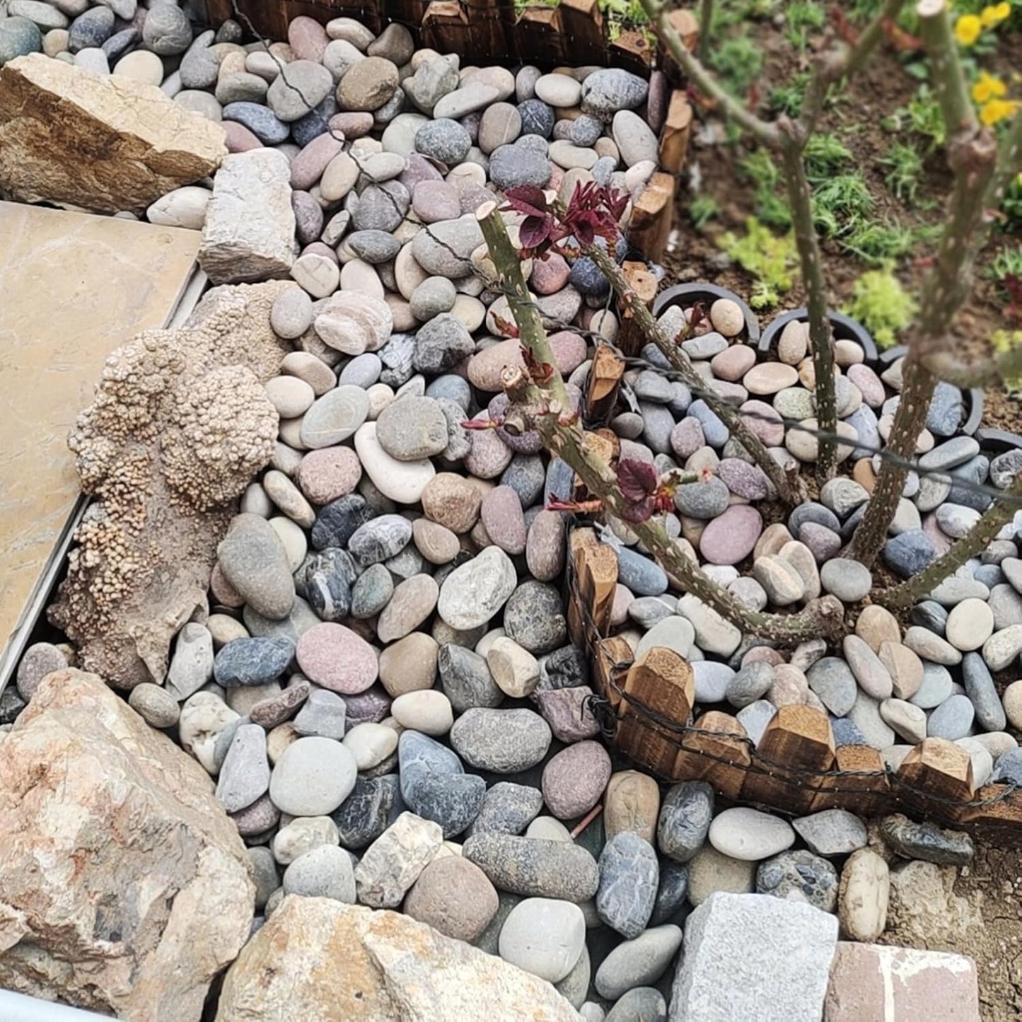 20 lbs River Rocks for Plants, 1-2 Inch Decorative Pebbles Stones for Landscaping Garden Painting Crafting Walkways and Outdoor Yard