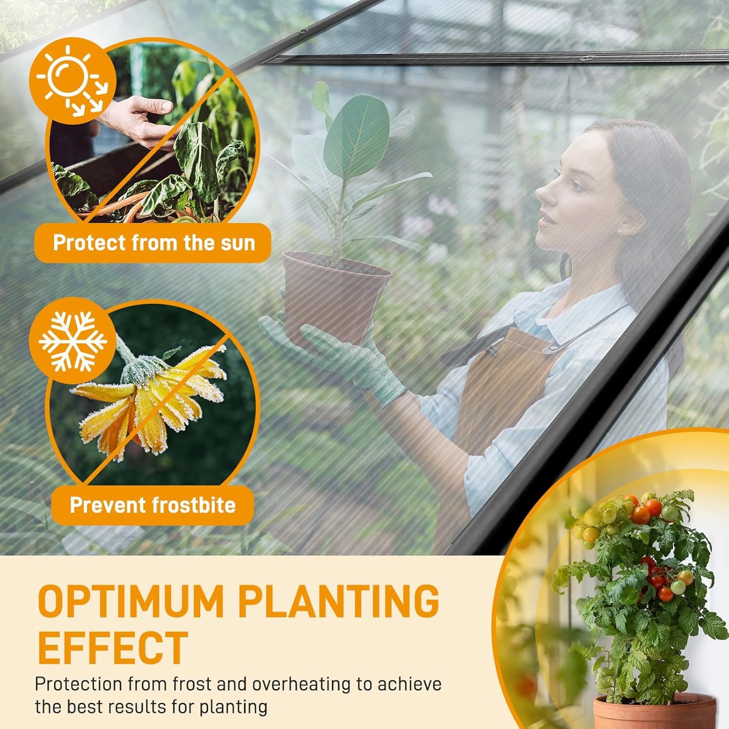 VINGLI 6x8 FT Heavy Duty Polycarbonate Greenhouse with 5 Roof Vents, Aluminum Frame, Black