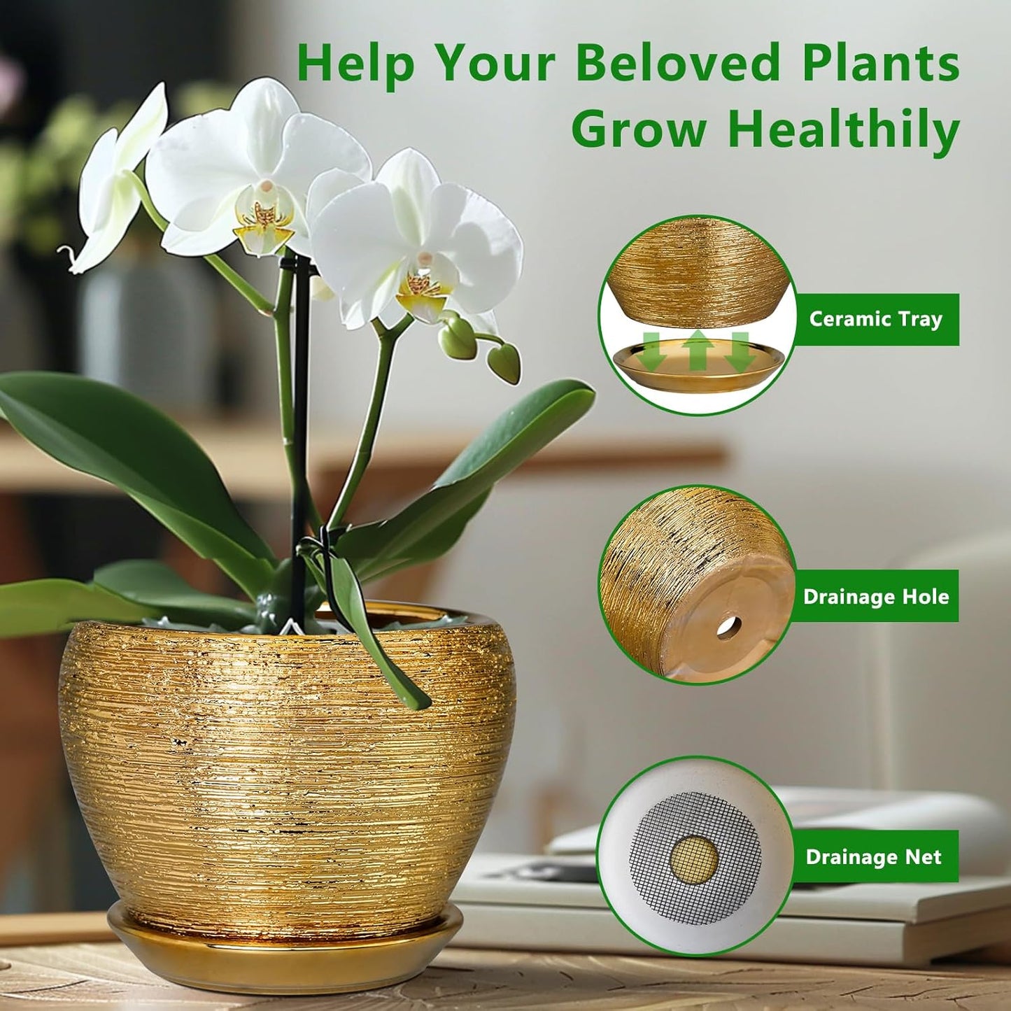 Indoor Plant Pot 6 Inch - Ceramic Pot for Plants Outdoor Planter with Drainage Hole and Saucer Round Decorative Planter Modern Flower Pot for Home Decor Gold