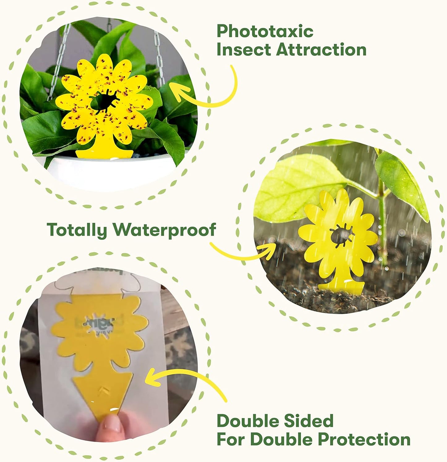 BugMD Sticky Bug Traps (12 Pack) - Indoor Fruit Fly Killer, Fungus Gnat Killer, Plant sticky traps for Bugs, Yellow Sticky Fly Traps for Plants, Gnat for Plants, Odorless