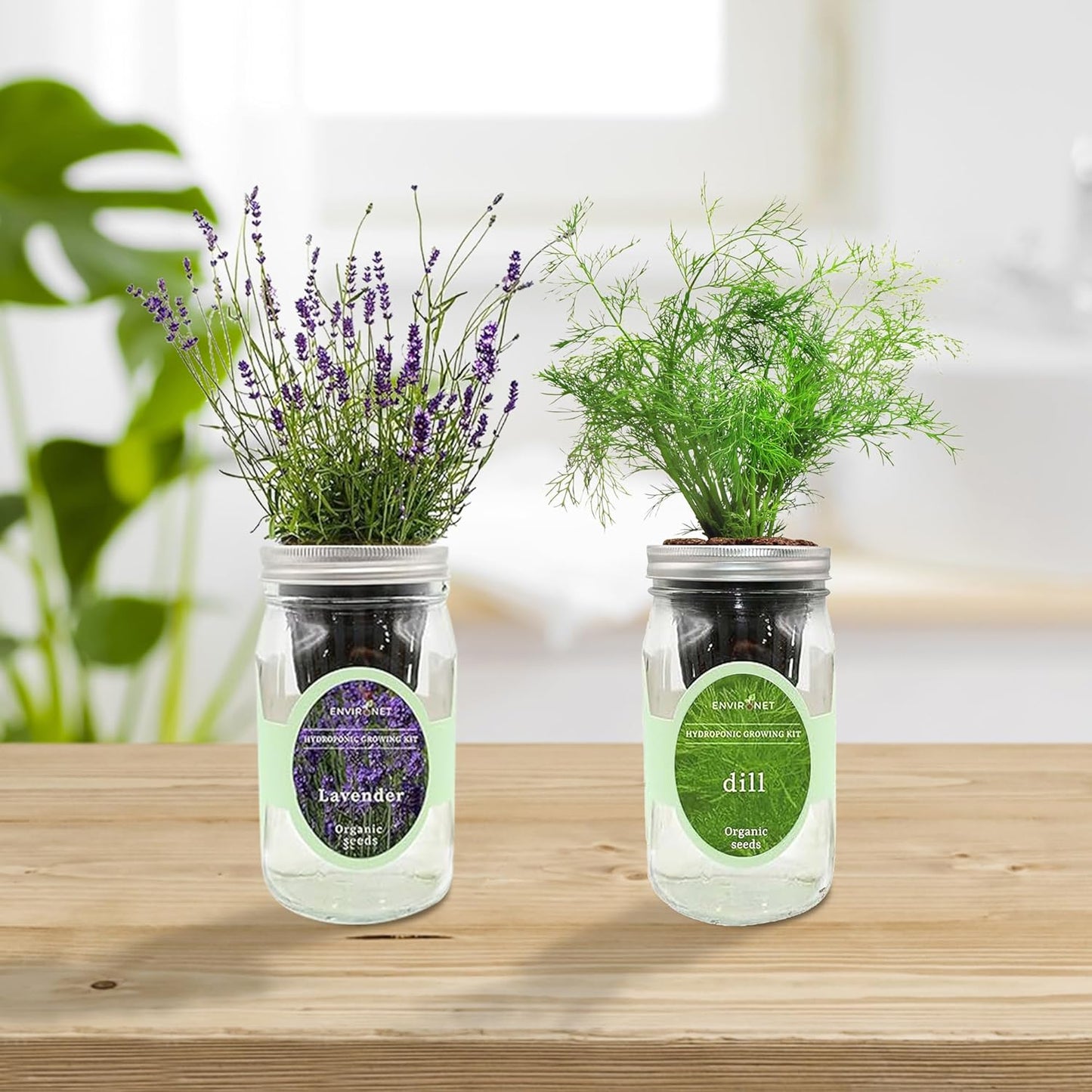 2-Pack Hydroponic Mason Jar Herb Garden Kit, Indoor Herb Garden Self-Watering Starter Kit (Lavender,Rosemary)