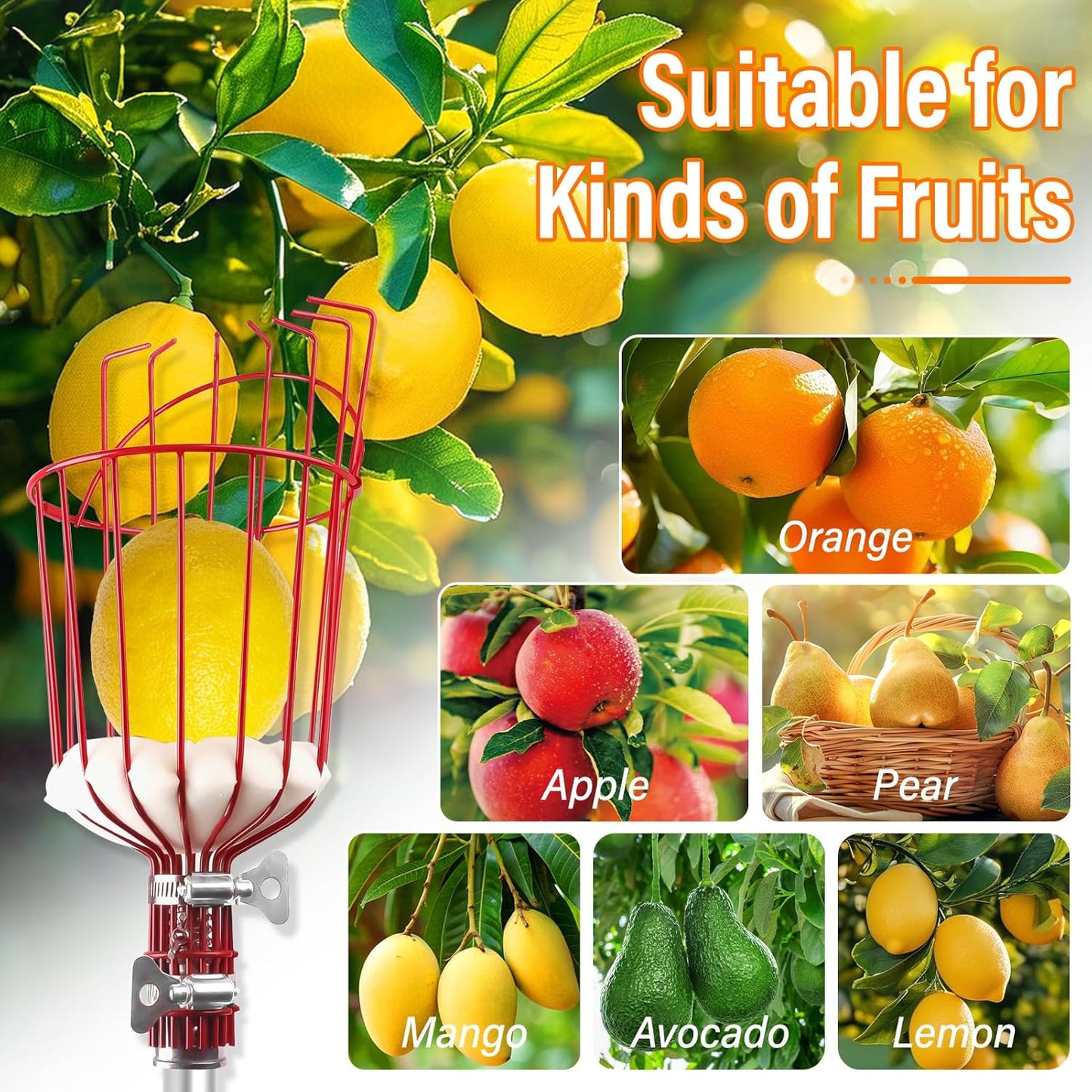 26FT Reach Fruit Picker Pole with Basket Telescoping,Apple Picker Pole with Basket,Lightweight Aluminum Pole Fruit Catcher for Trees,Orange Picker Suit for,Pear,Lemon,Mango,Guava,Avocados