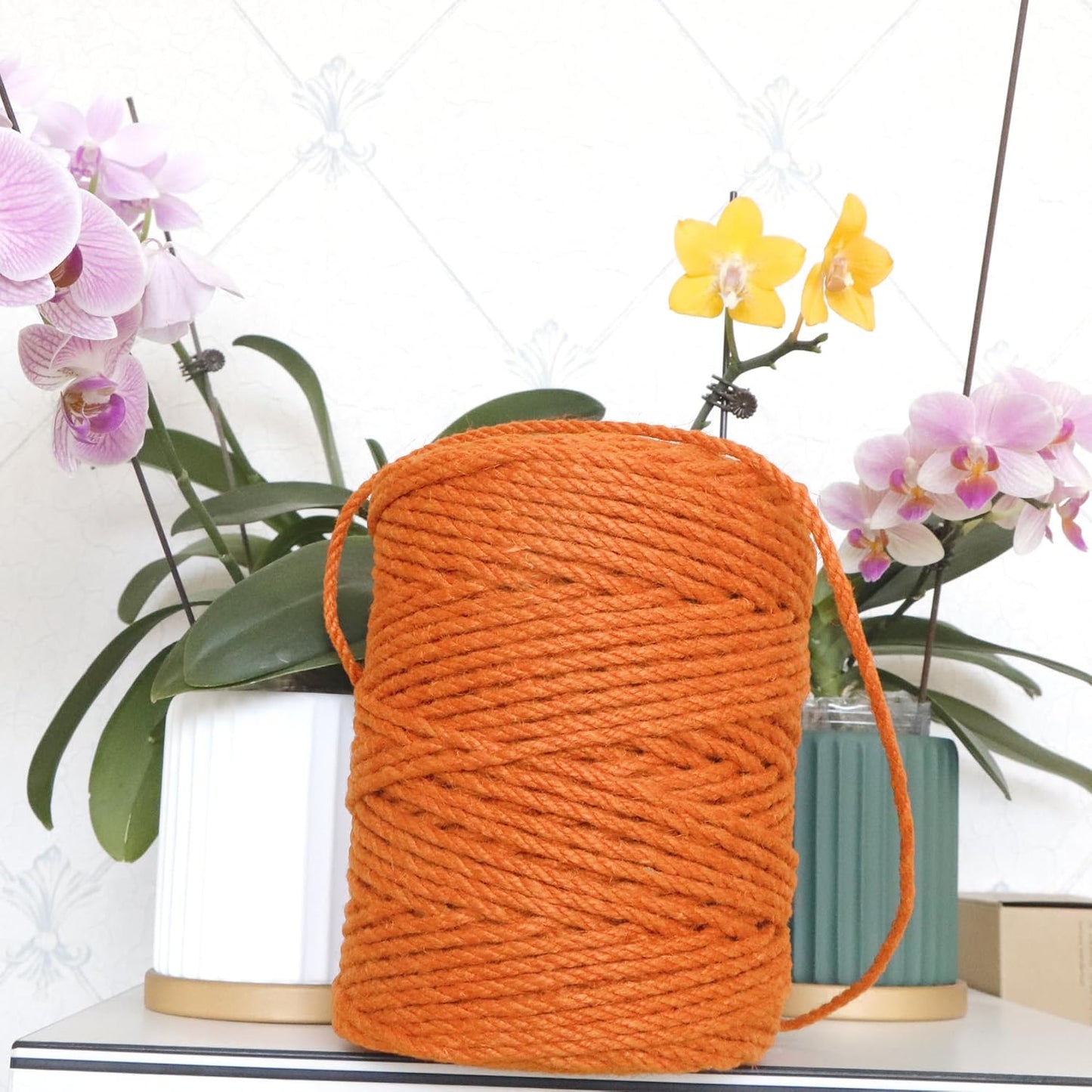 4mm x 100 Feet Orange Jute Rope, Twine for Gardening Tomato Climbing Plant Tie Floristry Crafts Gift Wrapping Packing Decor