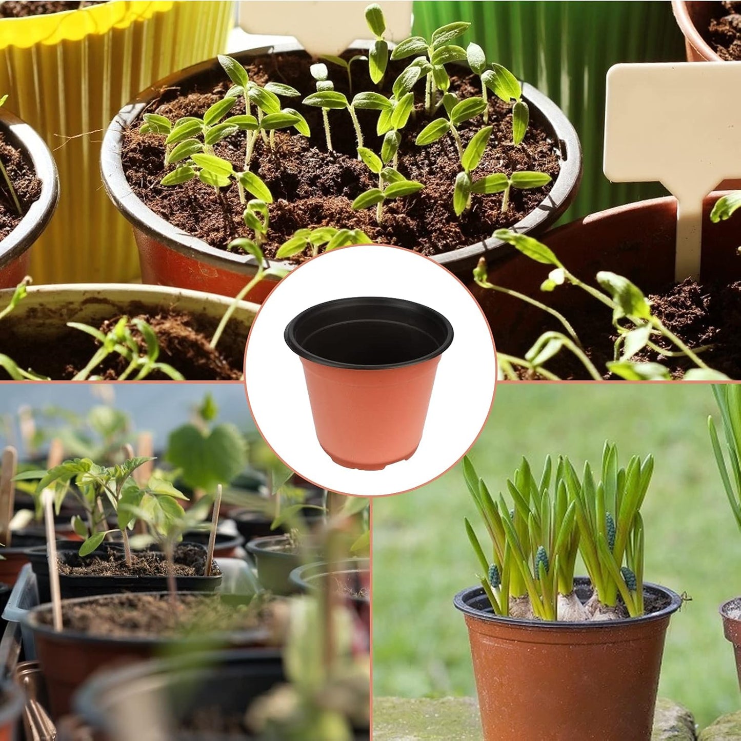 KINGLAKE 50 Pcs 6" Plastic Plants Nursery Seedlings Pot/Pots Flower Plant Container Seed Starting Pots for Plant