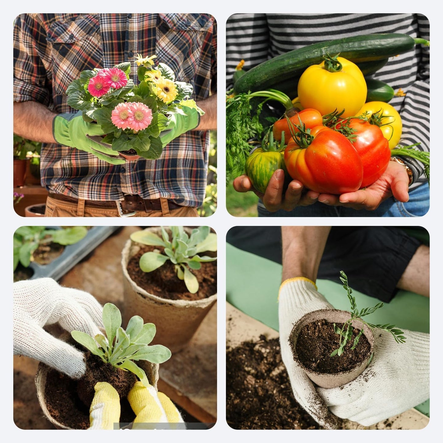 50Pcs Biodegradable Seedling Pots 3.15 Inch Round Peat Pot with Drainage Holes Seed Starting