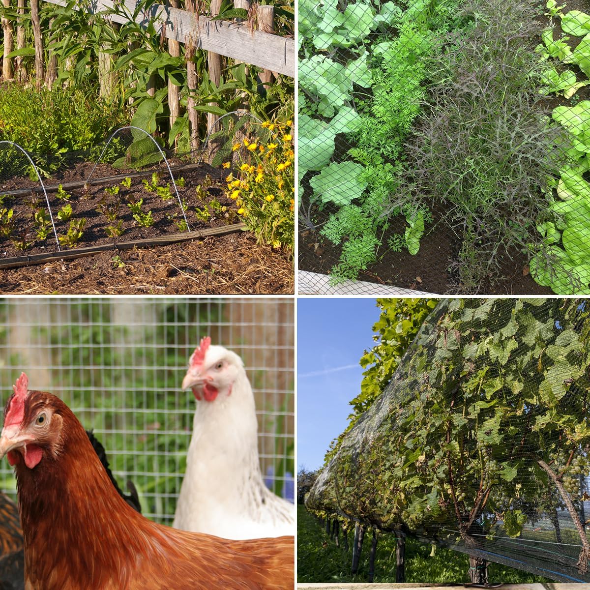 Bird Netting,25 x 25 FT Garden Netting Bird Net for Chicken Coop, Poultry Netting Fence for Fruit Trees, Plants and Vegetables Against Birds, Deer, Squirrels and Other Animals