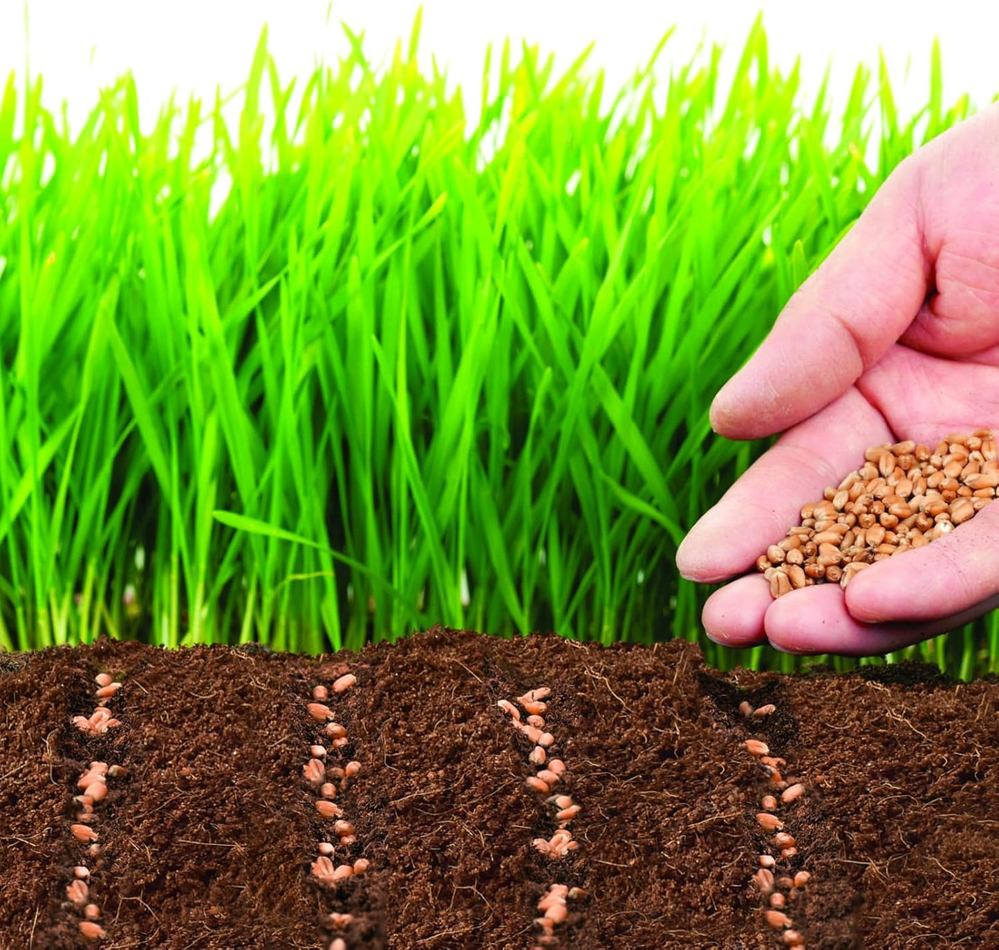 ZeeDix 50Pcs 40mm Compressed Coco Coir Fiber Potting Soil Seed Starters - Organic Coco Coir Pellet Fiber Soil for Planting Bonsai, Herbs, Flowers and Vegetables