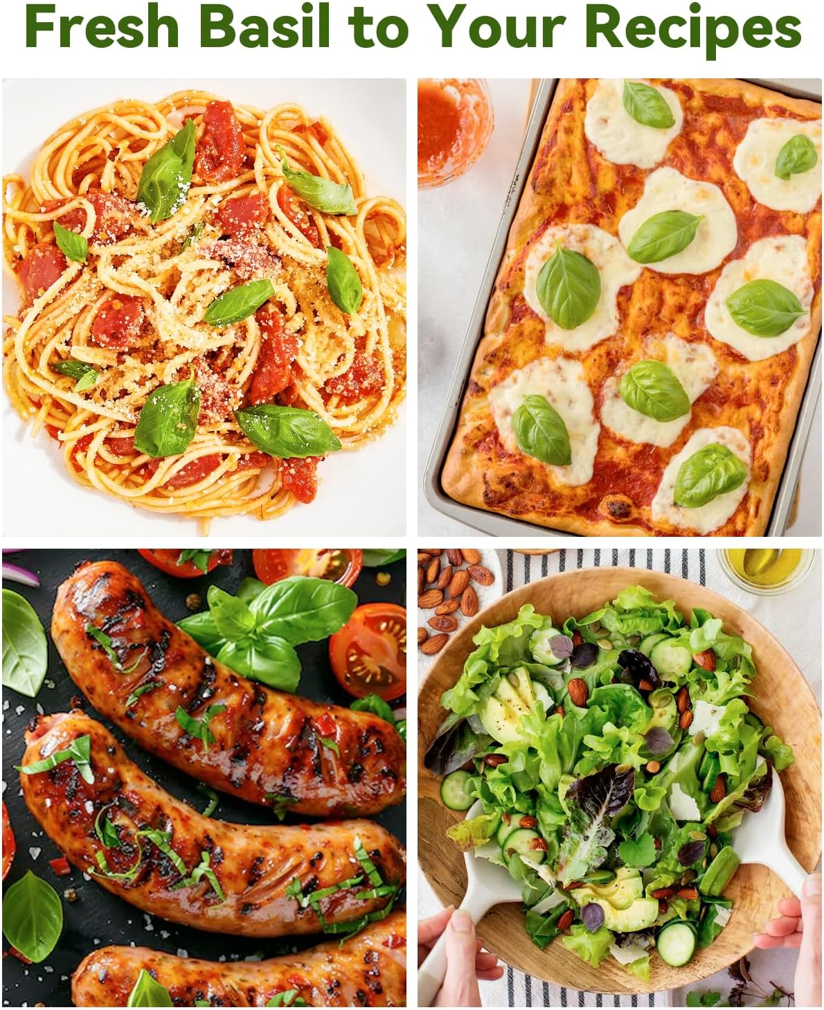 Hydroponics Seed Pod with Genovese Basil & Purple Basil, 24 Pods Complete Kit with Sponge, Basket, Dome, Label, Compatible with AeroGarden, Ahopegarden, GARDENCUBE, iDoo & MUFGA Indoor Smart Gardens