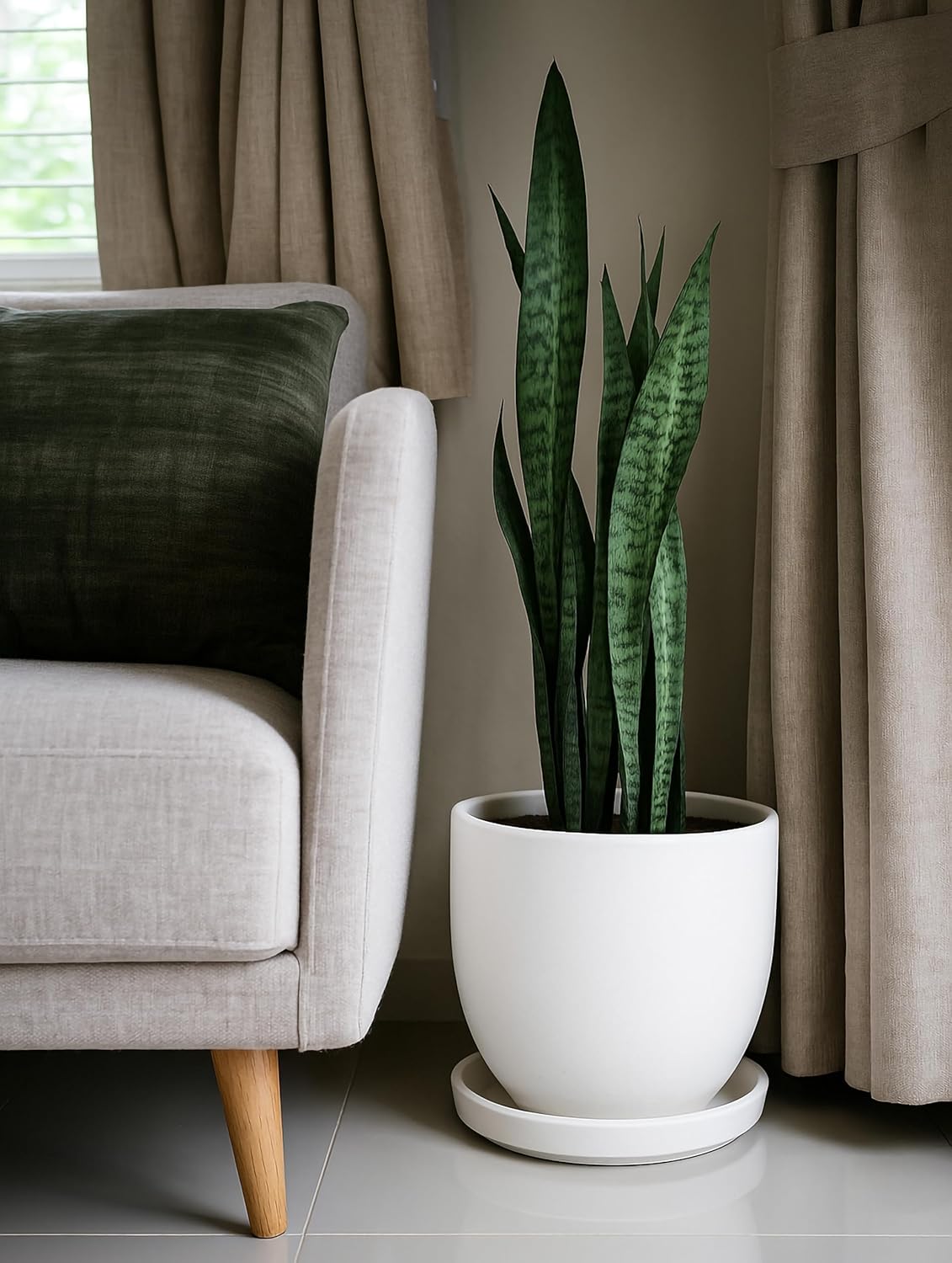 D'vine Dev Modern Round 10.4 Inch Ceramic Plant Pot Saucer, Planter Pot Drainage Tray for Indoor Plants, Matte White, 97-T-A-5