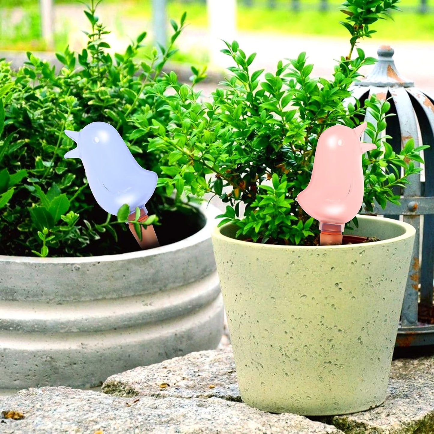 6 Pack Self Watering Spikes Plant Waterer Bird Shape Self Watering Globes Clear Watering Stakes Automatic Drip Irrigation Water Devices Vacation Houseplant Potted Plant Watering Bulbs