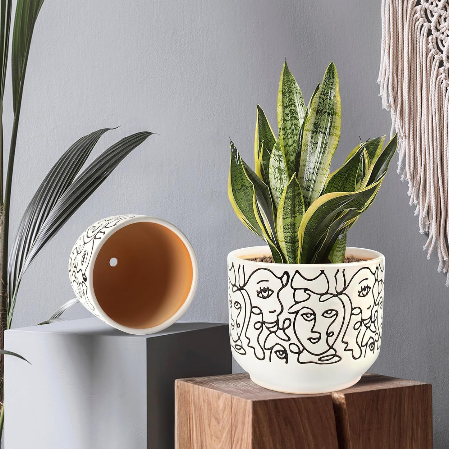 Docrin Plant Pots Indoor with Drainage : 6.6+5.4 Inch Ceramic Flower Pots for Plants - Set of 2 Modern Decorative Face Planters for House/Office/Gift - /Black and White