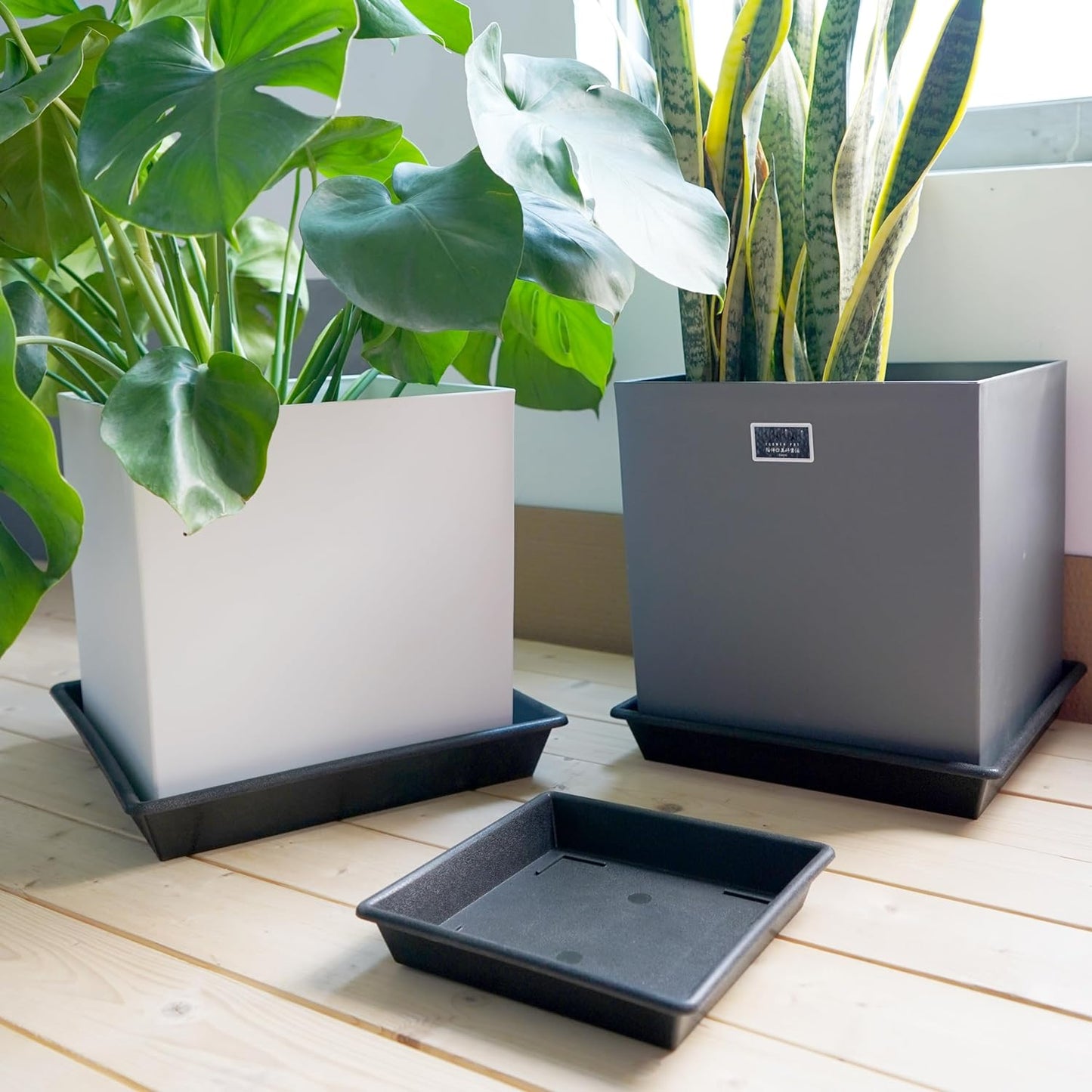 Square Plant Saucer 10 Inch 2 Pack 6 8 10 12 14 16 18 20 Inch, Plant Trays for Pots Heavy Duty Plastic Plant Saucers for Indoors Outdoors, Flower Pot No Holes Plant Drip Trays