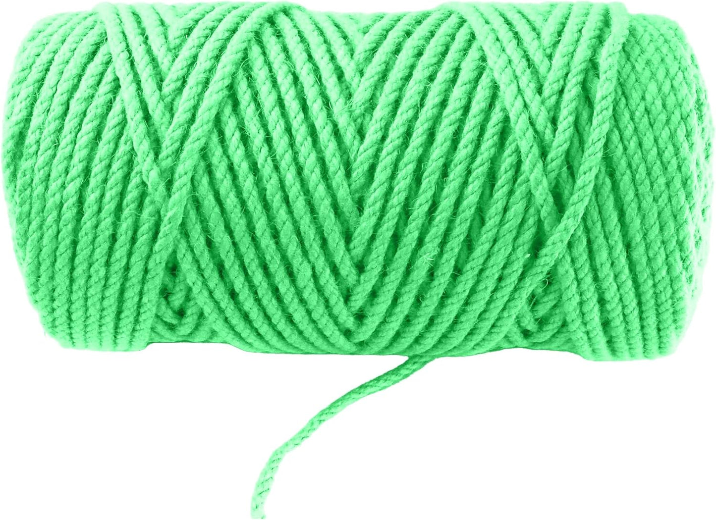 4mm x 200 Feet Light Green Jute Rope, Twine for Gardening Tomato Climbing Plant Tie Floristry Crafts Gift Wrapping Packing Decor