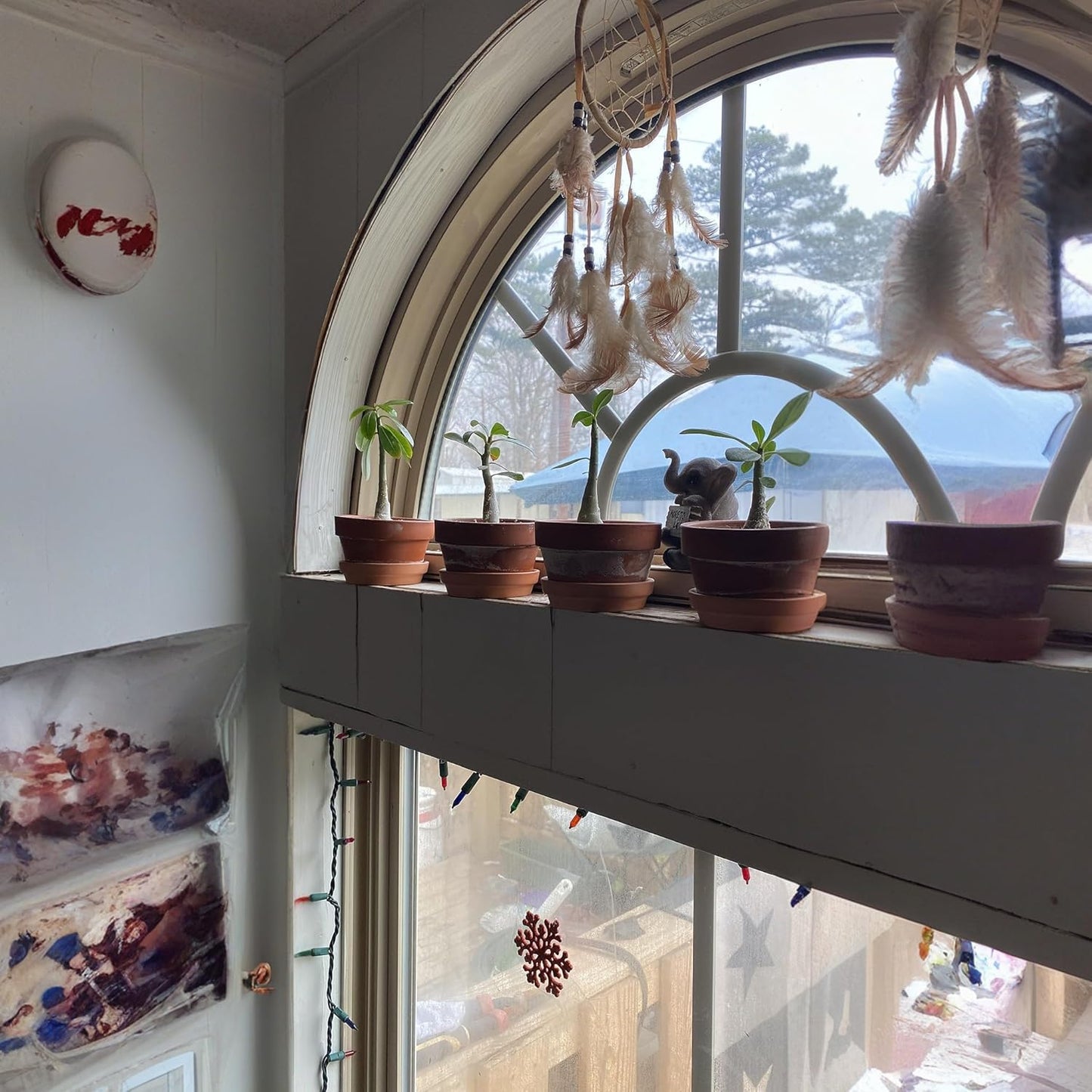 Shallow Terracotta Pots 5 inch, Pack of 6 Clay Pots for Plants with Drainage Holes and Saucers, Mini Nursery Plant Pots for Seed, Succulents, Cactus, Indoor,Outdoor