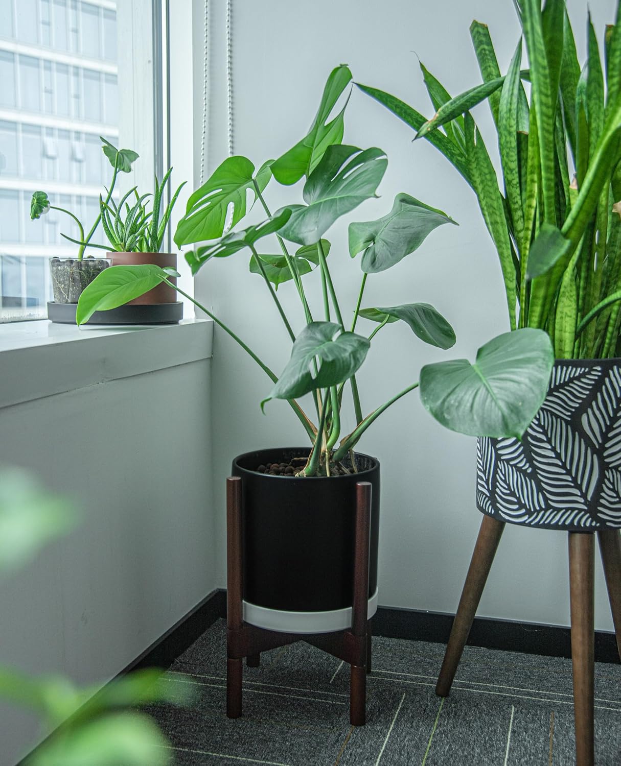 Phoenix Vine 10 Inch Plastic Plant Saucer Water Drip Tray, Heavy Sturdy Round Plant Drainage Tray for Indoors Outdoor, Matte White, 21-TY-10W-1