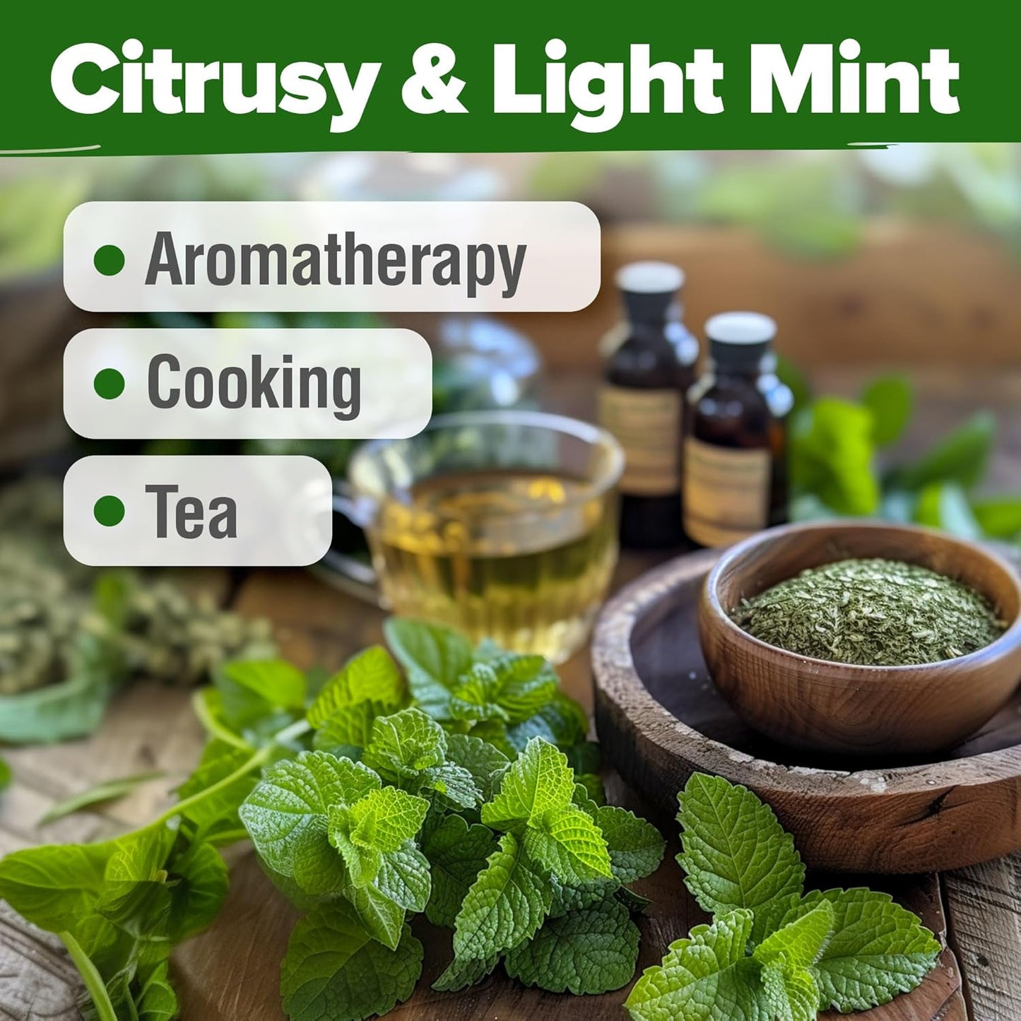 HOME GROWN Lemon Balm Seeds– 806 𝗡𝗢𝗡-𝗚𝗠𝗢 Heirloom Seeds for Planting – Melissa officinalis Herb for Tea, Garden, Indoor or Outdoor Growing–Plant for Pots, Beds & Hydroponics(Melissa officinalis)