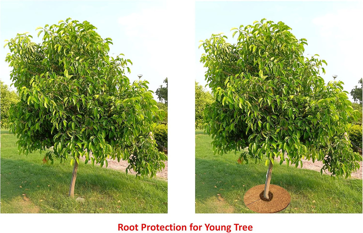 Deepthi 18-Inch Coco Coir Mulch Mats – Pack of 3 Natural Coconut Fiber Discs – Tree Ring Guards, Pot Covers, Sapling Root Protection, Weed Barrier, Moisture Retention for Garden & Potted Plants