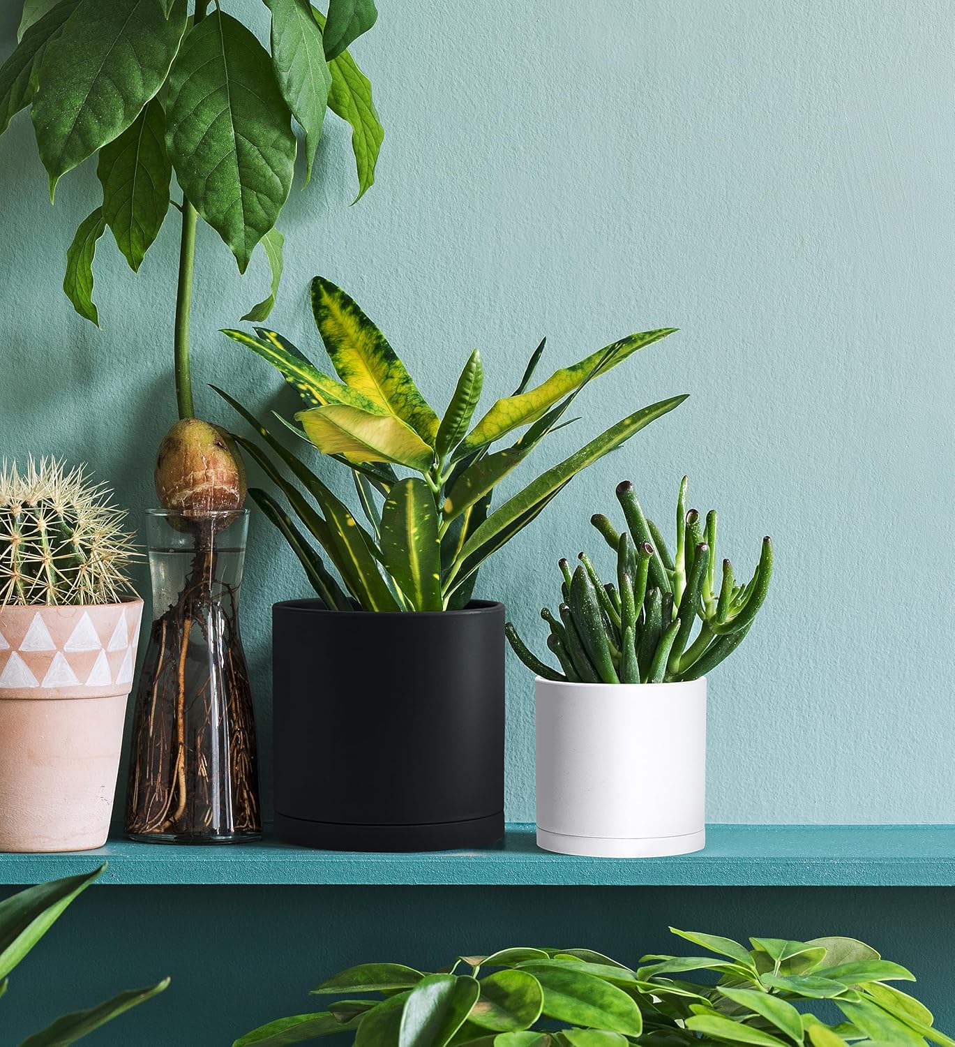 D'vine Dev 6 Pack 4.5 Inch Modern Plastic Plant Pots, Small Garden Planters for Plant with Drainage Holes and Saucers, White Color, 74-Z-F-3