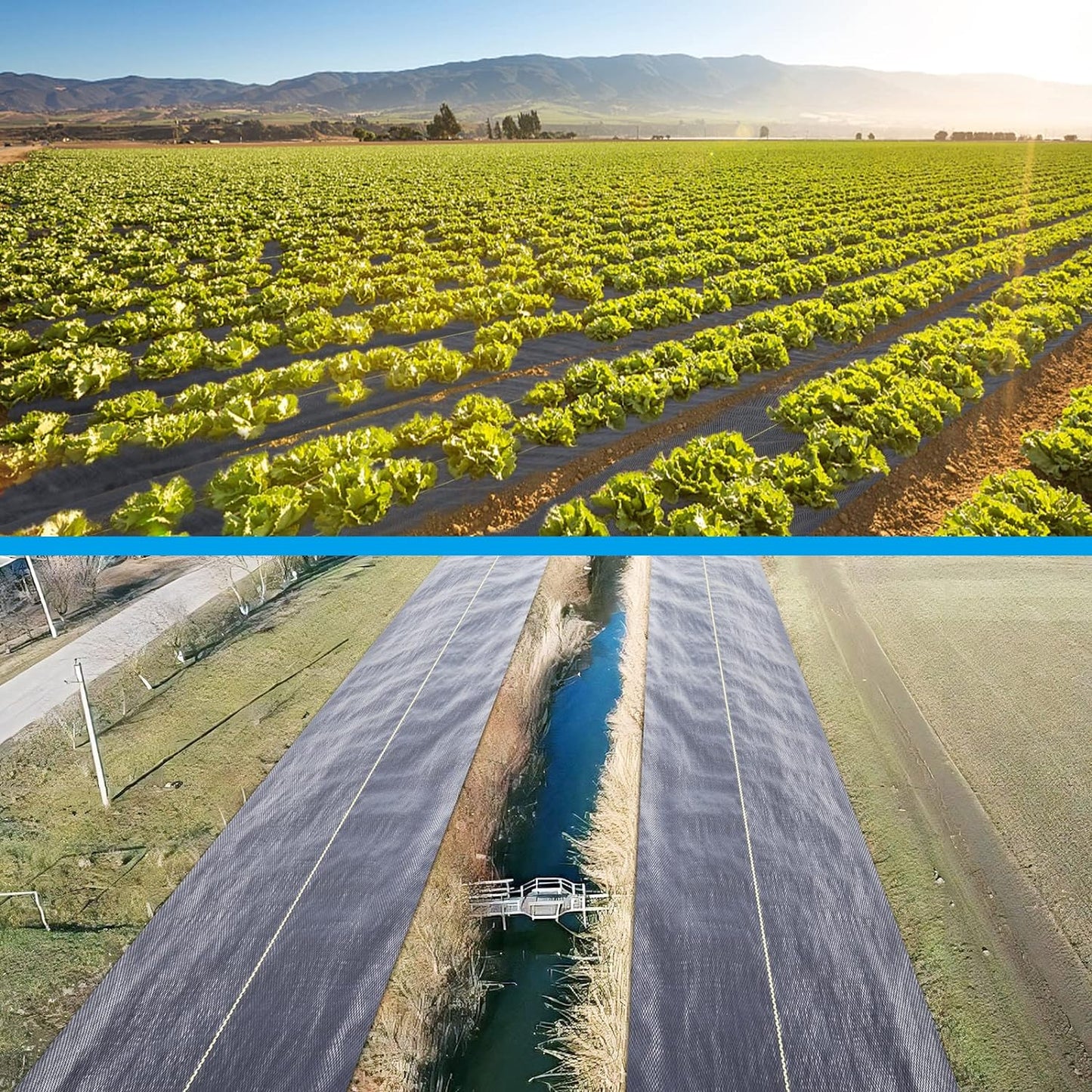 3ft x100ft Black Weed Barrier Landscape Premium Fabric-Heavy Duty Woven Ground Cloth with Superior Permeability Weed Control Convenient Design