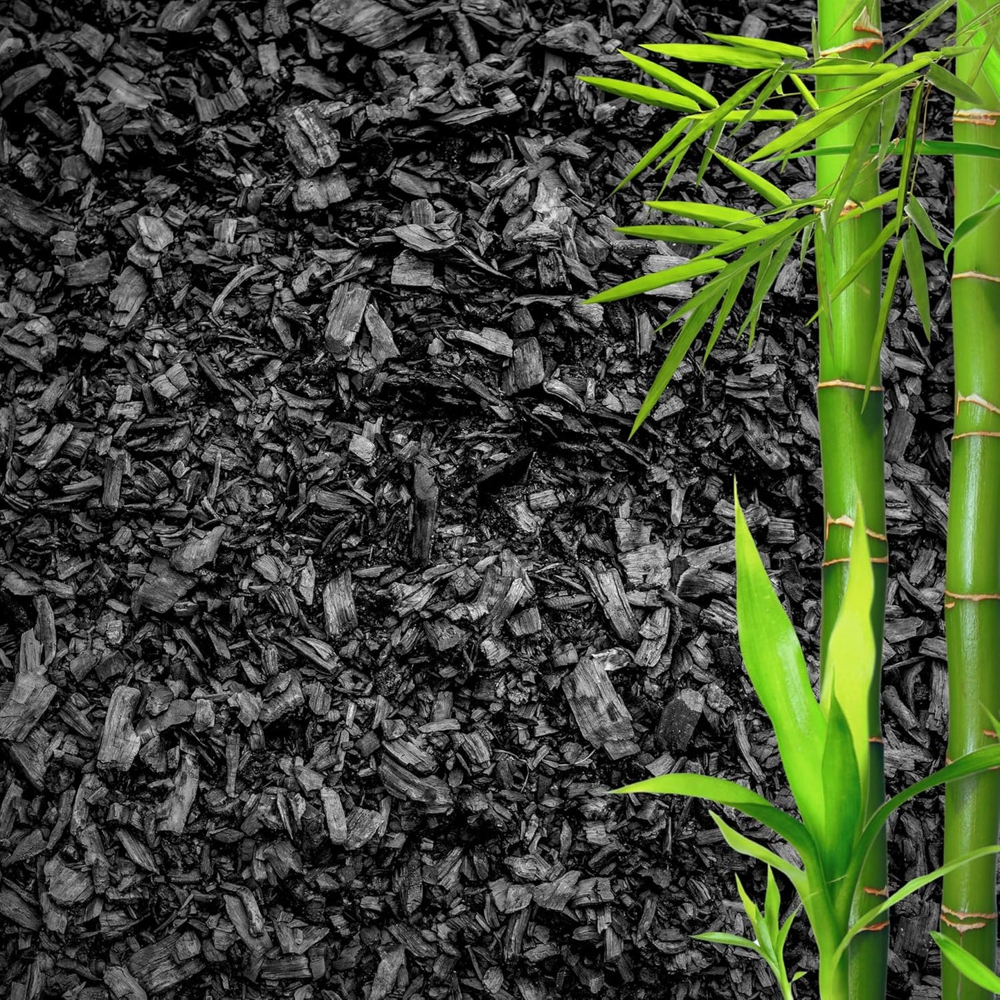 Horticultural Charcoal for Plants β Organic Bio Char Soil Amendment for Terrariums, Indoor Plants & Gardening, Made in USA (5 quarts)