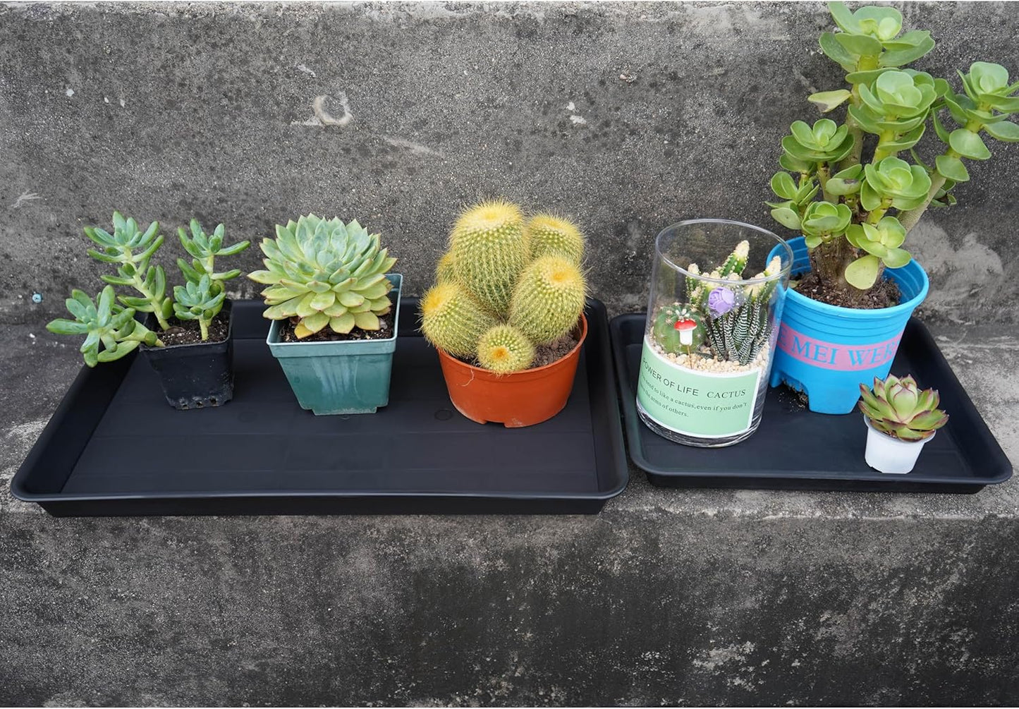 Plant Saucer Growing Tray, Seed Starter Tray Rectangular, Heavy Sturdy Plastic Plant Drainage Saucers, Plant Drip Trays for Pots, Seed Starter Growing Trays (11 x 9 inch, 2 Pack)