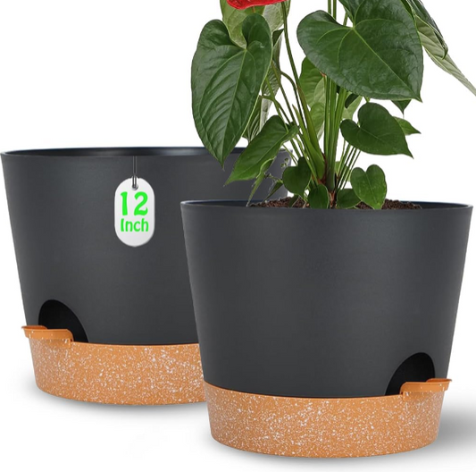 Self-Watering Plant Pots – 12-Inch Indoor and Outdoor Planters with Drainage Hole and Reservoir, Plastic Succulent Flower Pots, 2-Pack