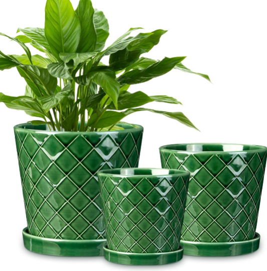 EFISPSS Ceramic Plant Pots Set Review: Modern Indoor Planters with Drainage and Tray